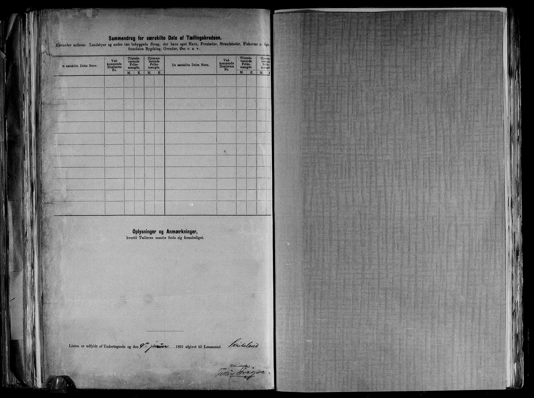 RA, 1891 census for 0935 Iveland, 1891, p. 13