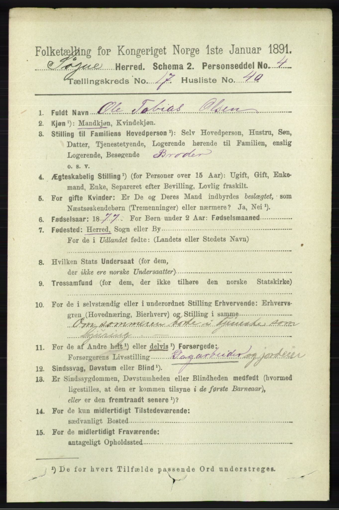 RA, 1891 census for 1018 Søgne, 1891, p. 4696