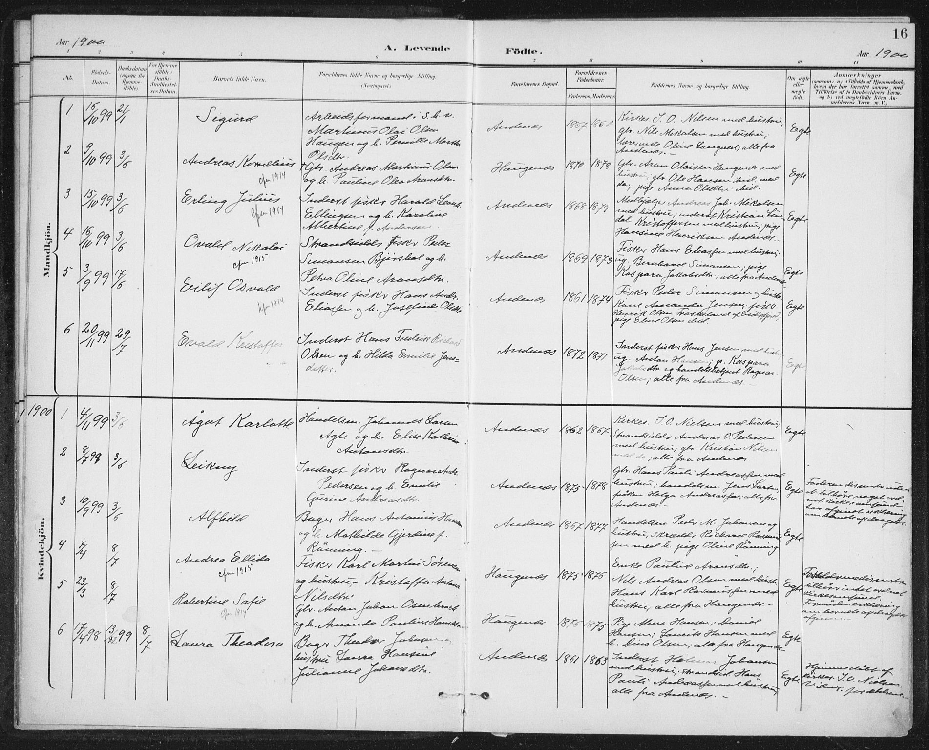 Ministerialprotokoller, klokkerbøker og fødselsregistre - Nordland, AV/SAT-A-1459/899/L1437: Parish register (official) no. 899A05, 1897-1908, p. 16
