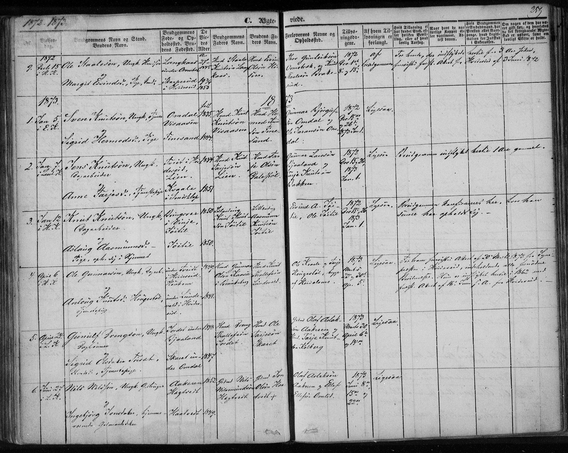 Lårdal kirkebøker, SAKO/A-284/F/Fa/L0006: Parish register (official) no. I 6, 1861-1886, p. 259