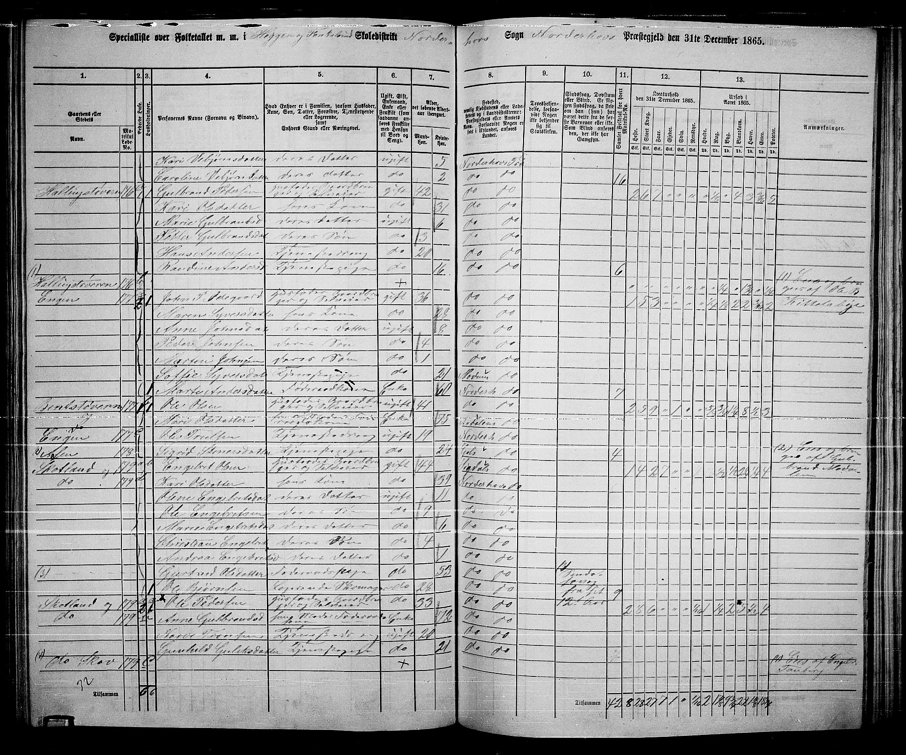 RA, 1865 census for Norderhov/Norderhov, Haug og Lunder, 1865, p. 203