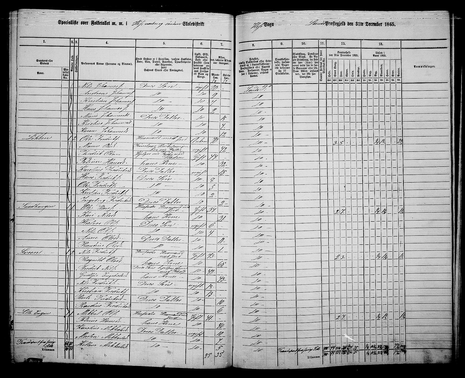 RA, 1865 census for Land, 1865, p. 406