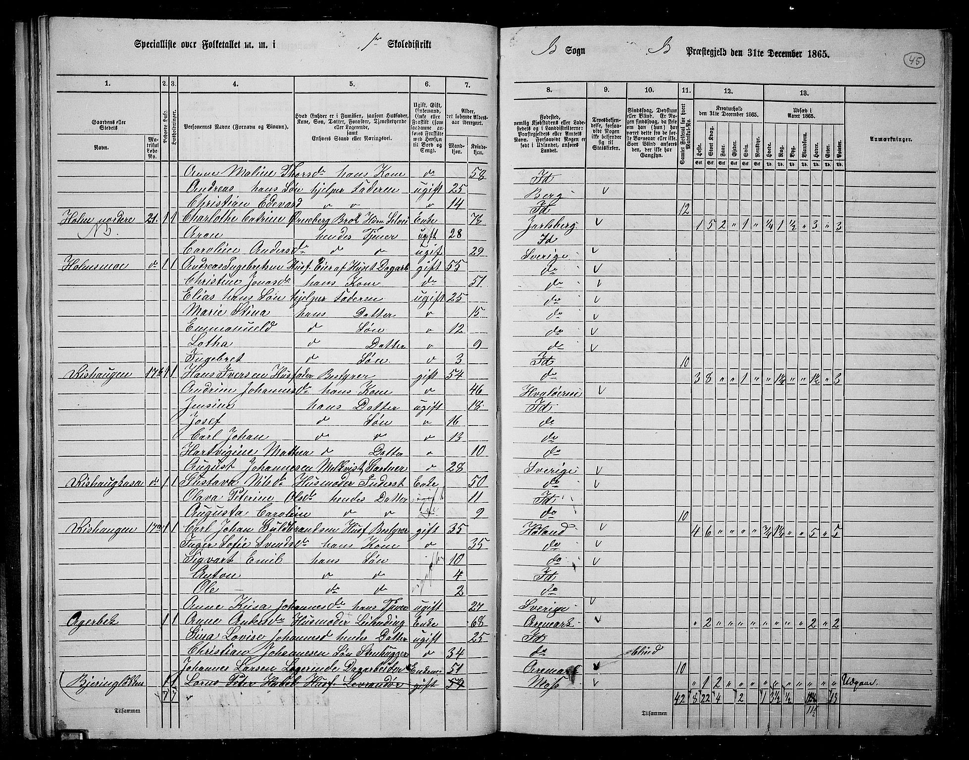 RA, 1865 census for Idd, 1865, p. 43