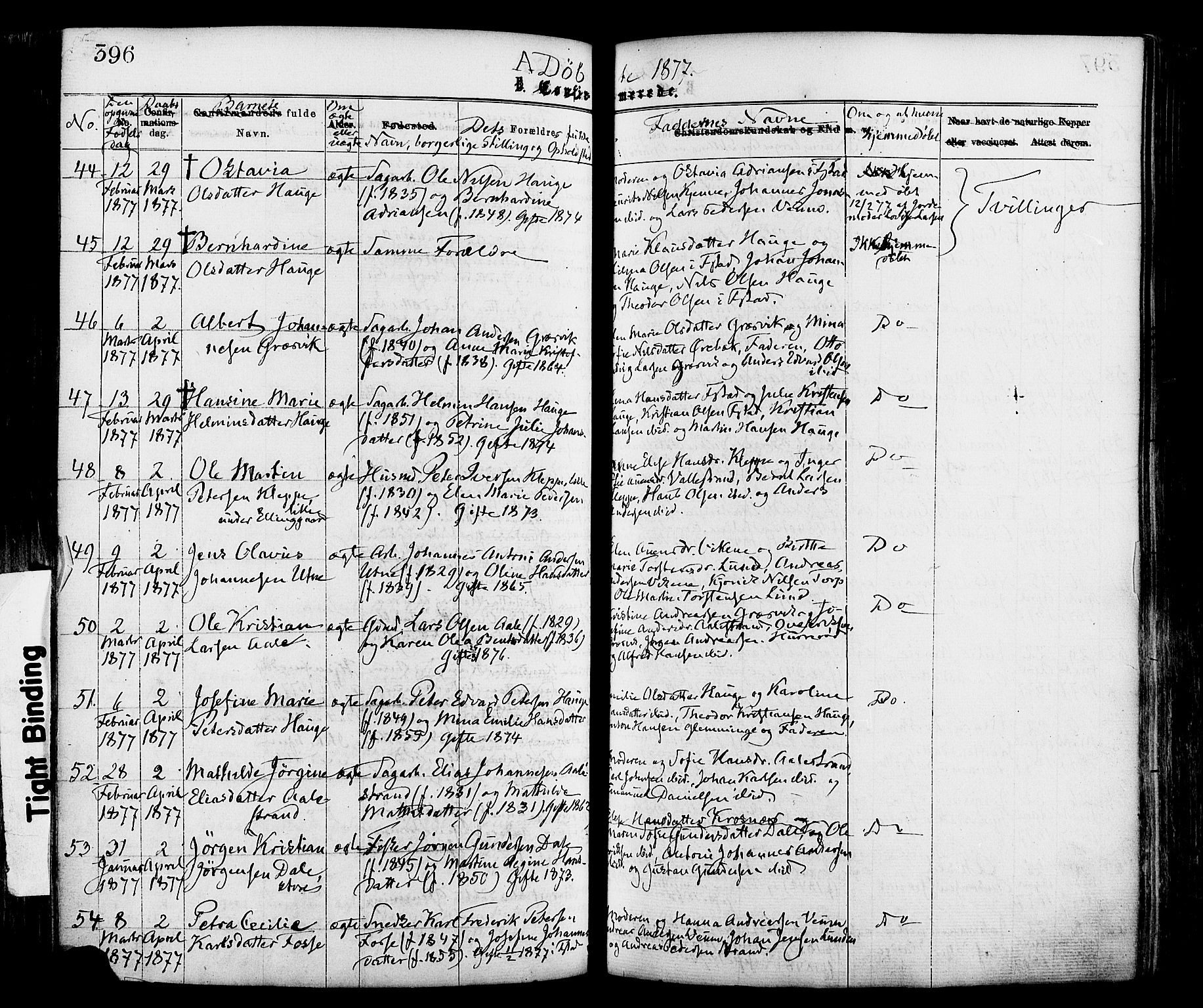 Onsøy prestekontor Kirkebøker, AV/SAO-A-10914/F/Fa/L0004: Parish register (official) no. I 4, 1861-1877, p. 396