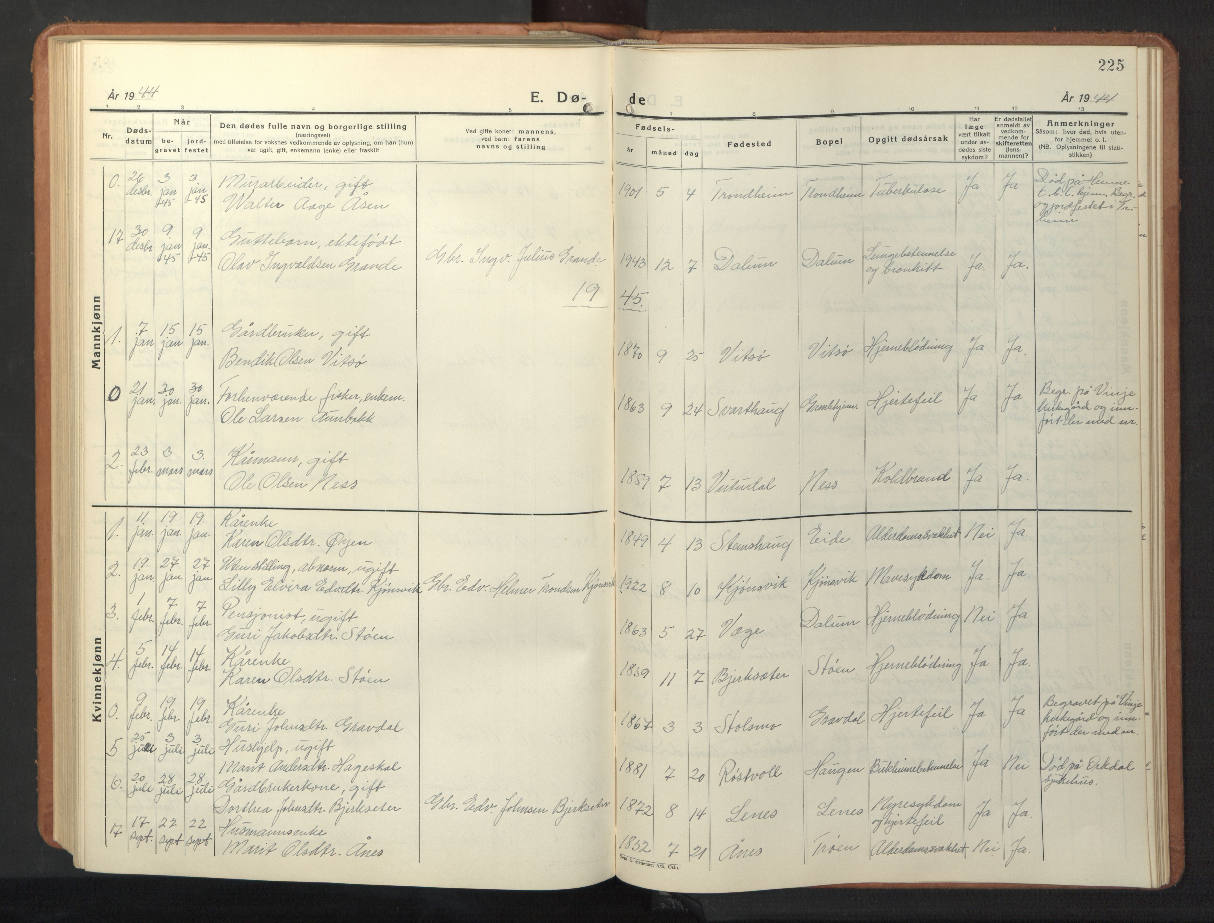 Ministerialprotokoller, klokkerbøker og fødselsregistre - Sør-Trøndelag, AV/SAT-A-1456/630/L0508: Parish register (copy) no. 630C06, 1933-1950, p. 225