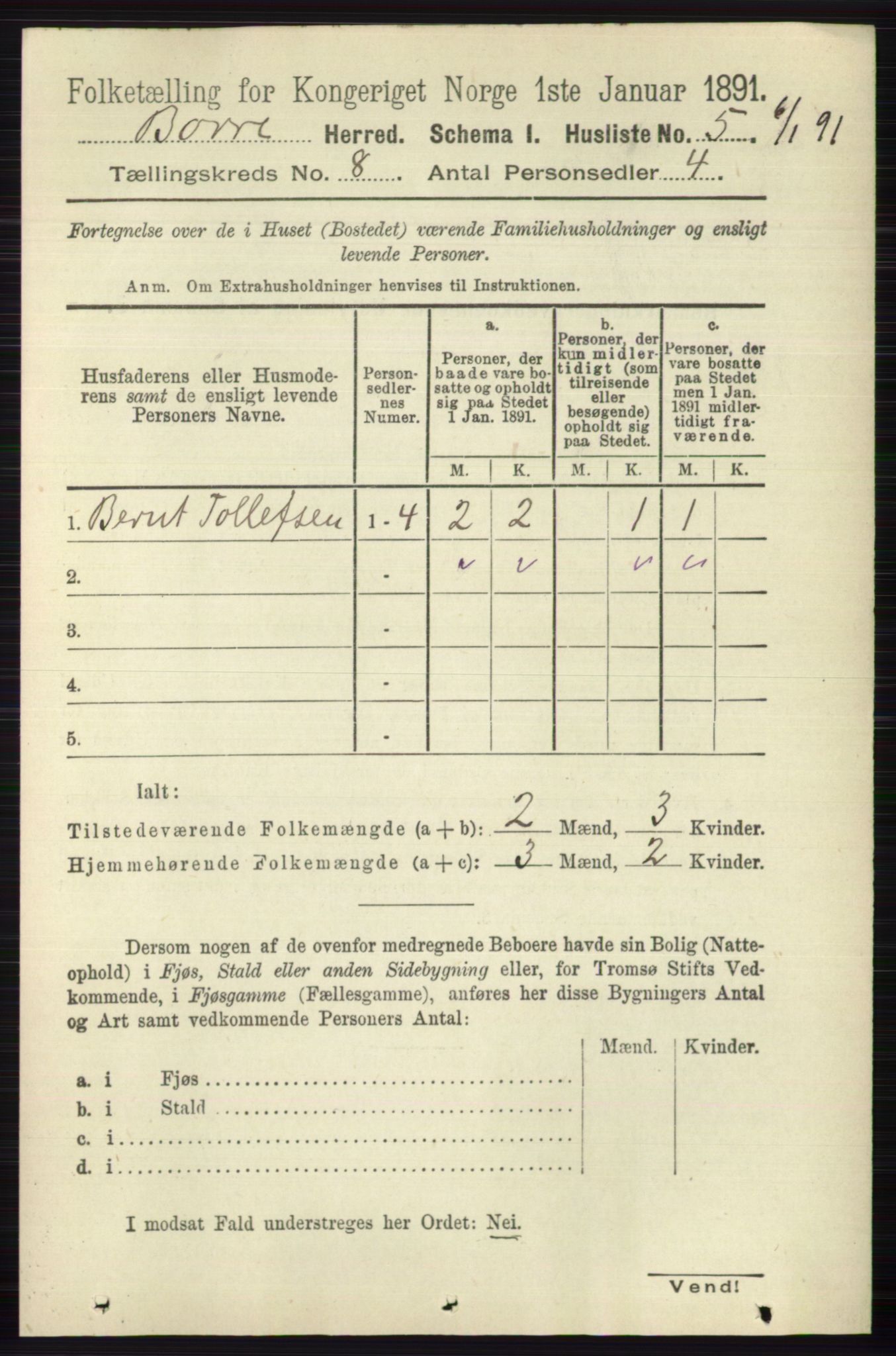 RA, 1891 census for 0717 Borre, 1891, p. 3677