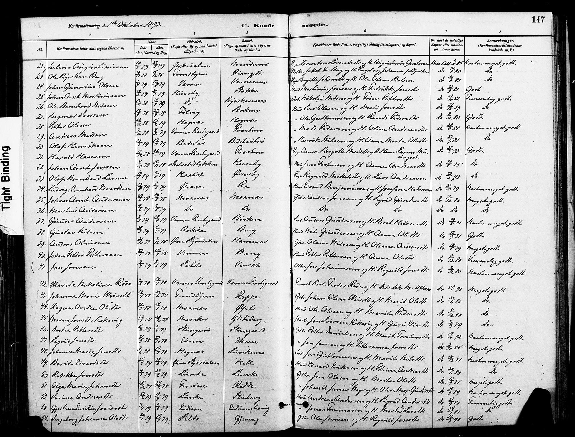 Ministerialprotokoller, klokkerbøker og fødselsregistre - Nord-Trøndelag, SAT/A-1458/709/L0077: Parish register (official) no. 709A17, 1880-1895, p. 147
