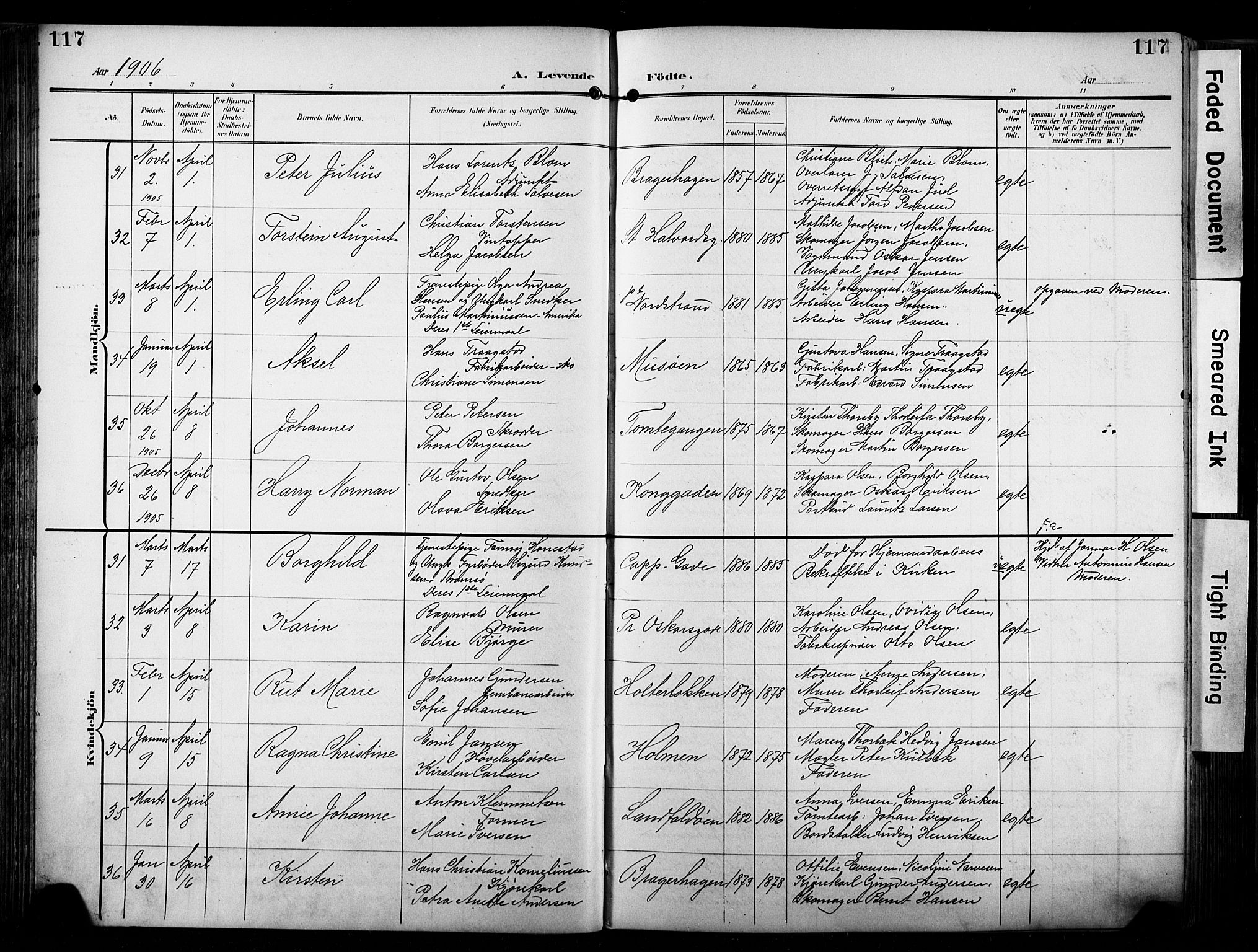 Bragernes kirkebøker, AV/SAKO-A-6/F/Fb/L0009: Parish register (official) no. II 9, 1902-1911, p. 117