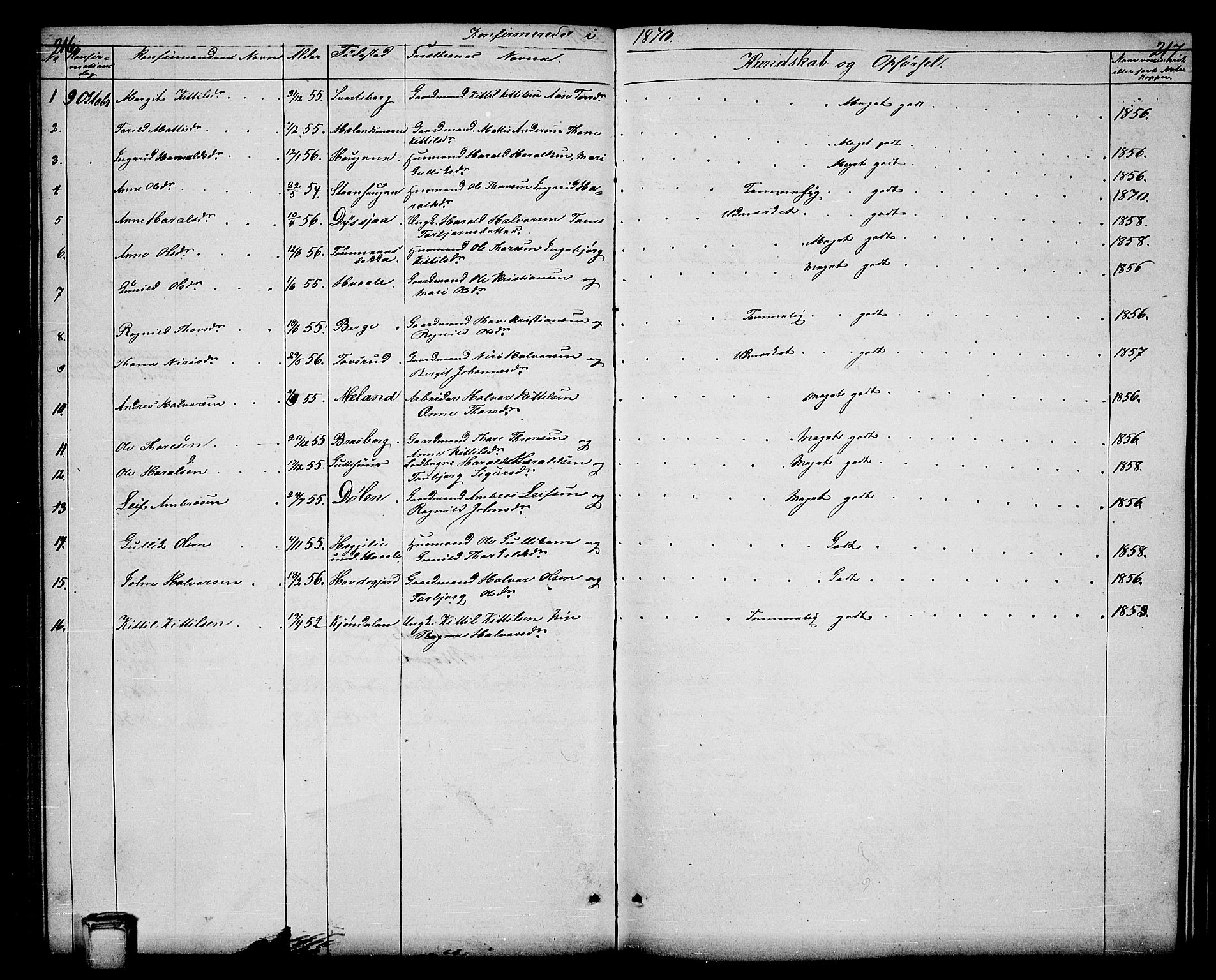 Hjartdal kirkebøker, AV/SAKO-A-270/G/Ga/L0002: Parish register (copy) no. I 2, 1854-1888, p. 216-217