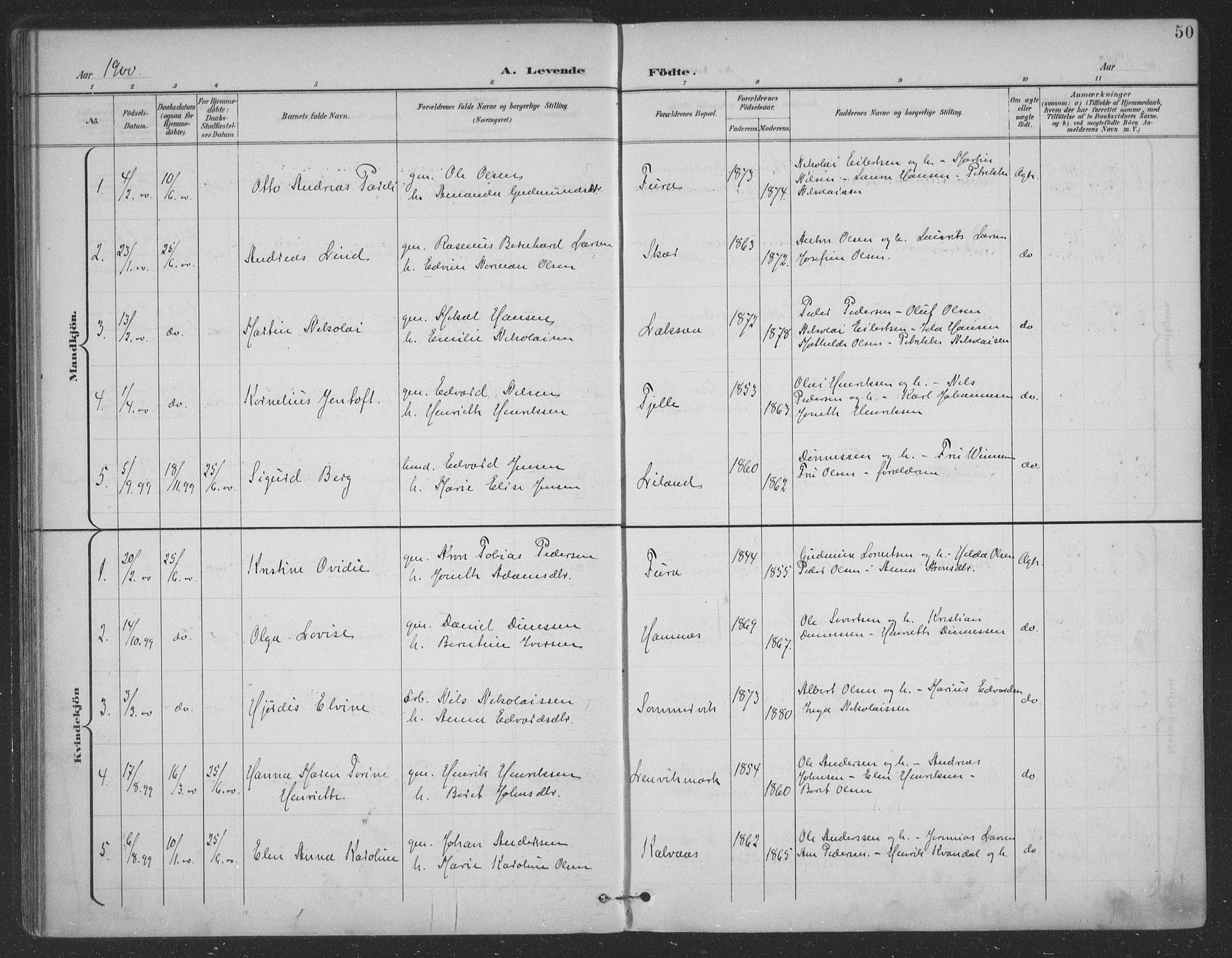 Ministerialprotokoller, klokkerbøker og fødselsregistre - Nordland, AV/SAT-A-1459/863/L0899: Parish register (official) no. 863A11, 1897-1906, p. 50