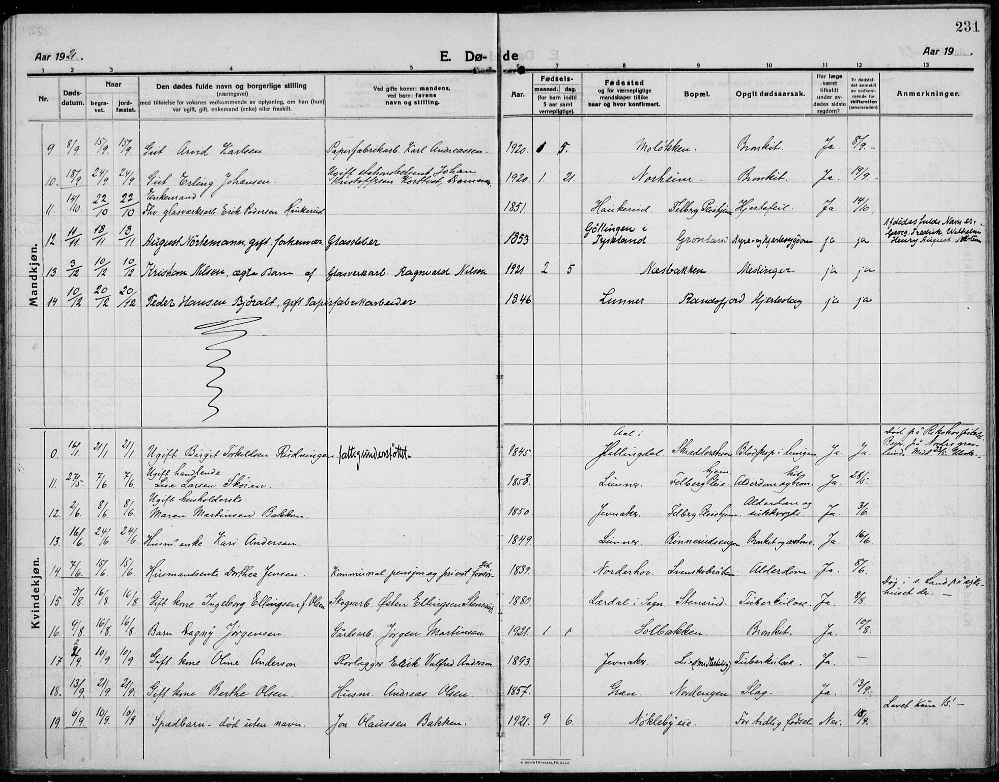 Jevnaker prestekontor, AV/SAH-PREST-116/H/Ha/Haa/L0012: Parish register (official) no. 12, 1914-1924, p. 231