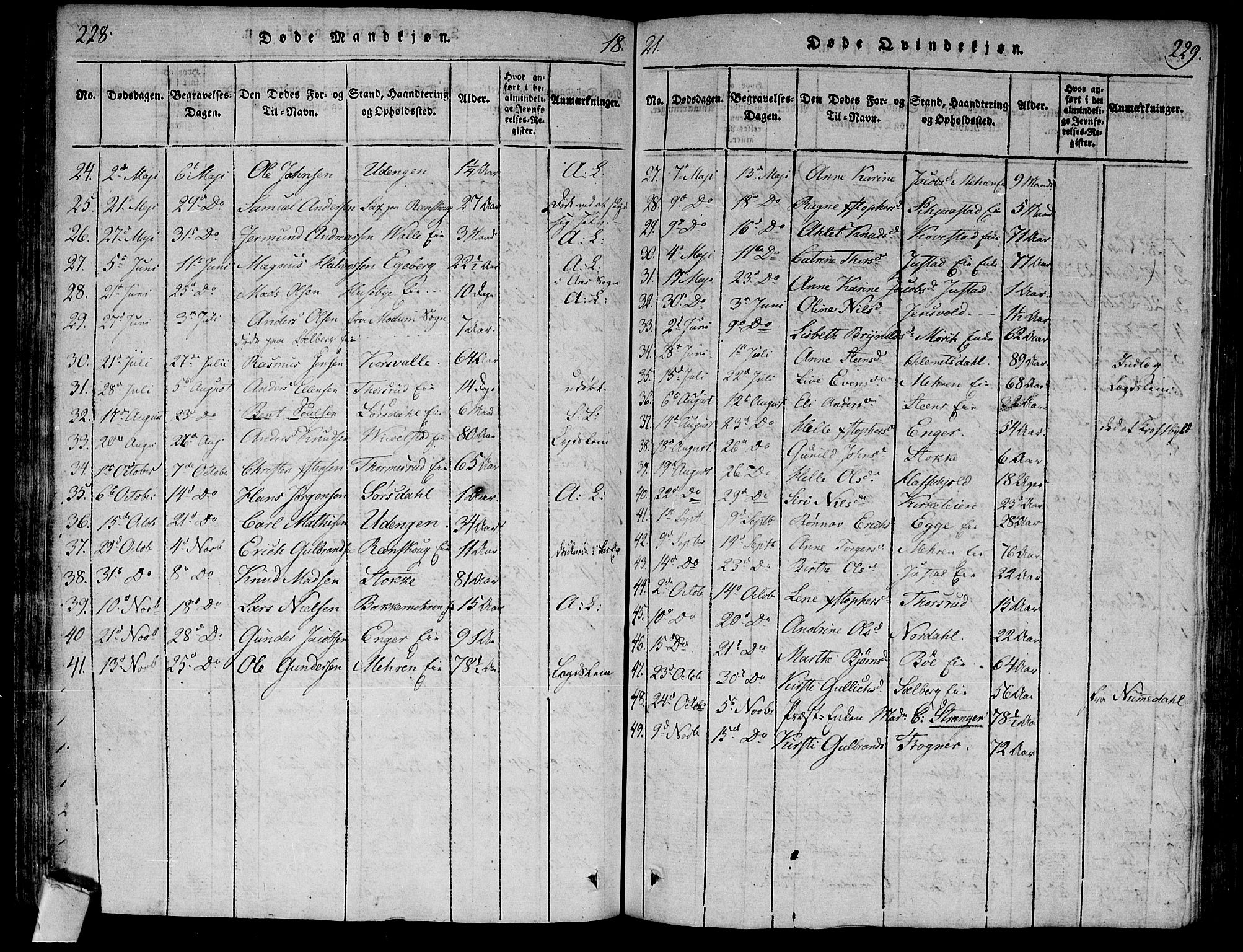 Lier kirkebøker, AV/SAKO-A-230/F/Fa/L0008: Parish register (official) no. I 8, 1813-1825, p. 228-229