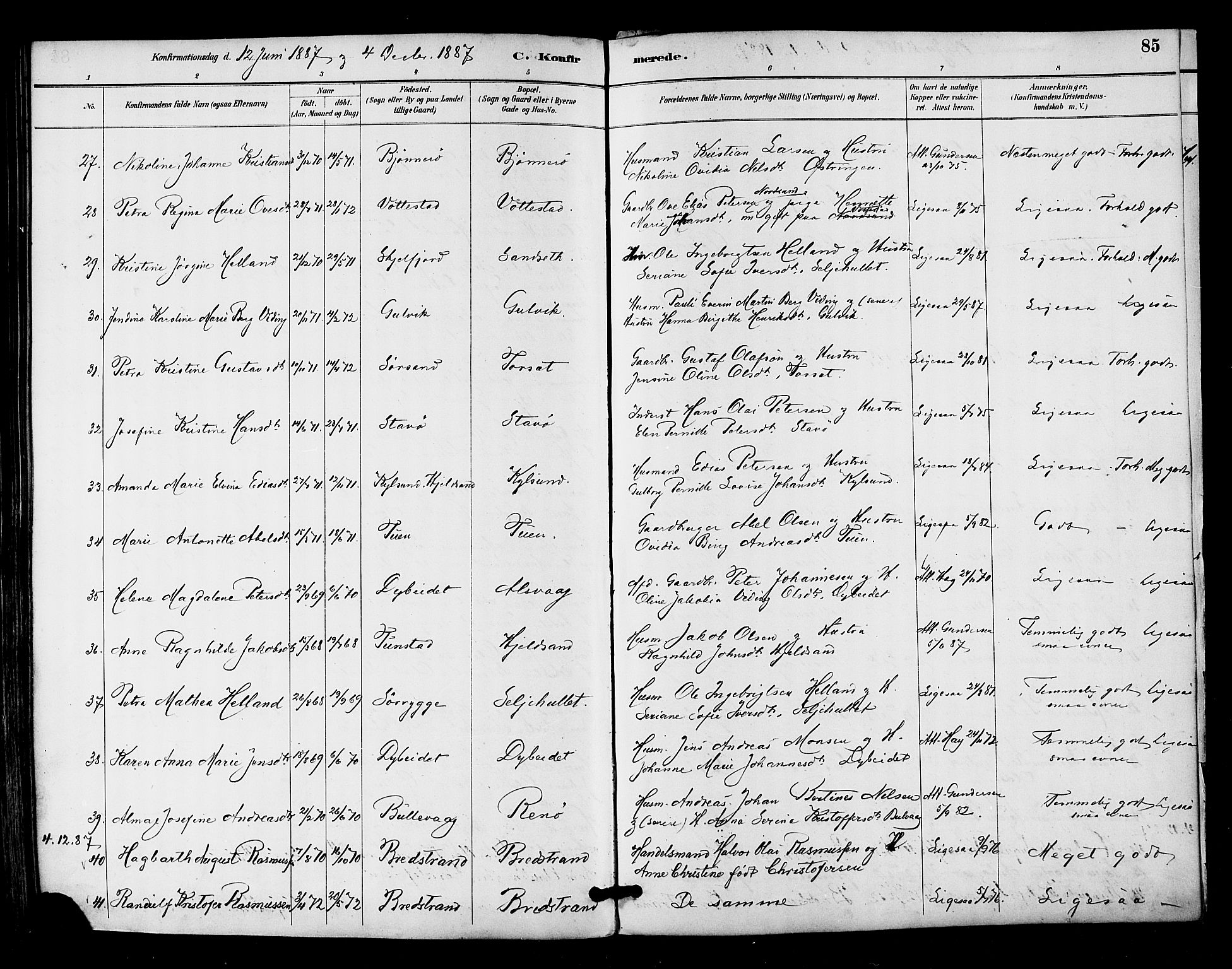 Ministerialprotokoller, klokkerbøker og fødselsregistre - Nordland, AV/SAT-A-1459/893/L1337: Parish register (official) no. 893A09, 1885-1893, p. 85