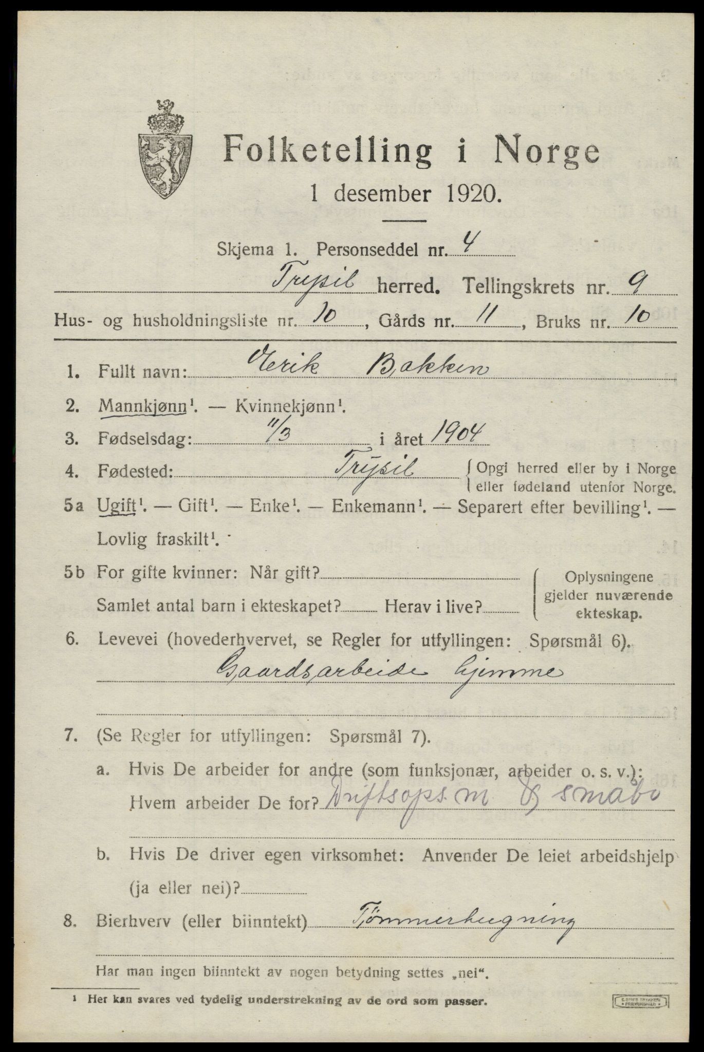 SAH, 1920 census for Trysil, 1920, p. 6669