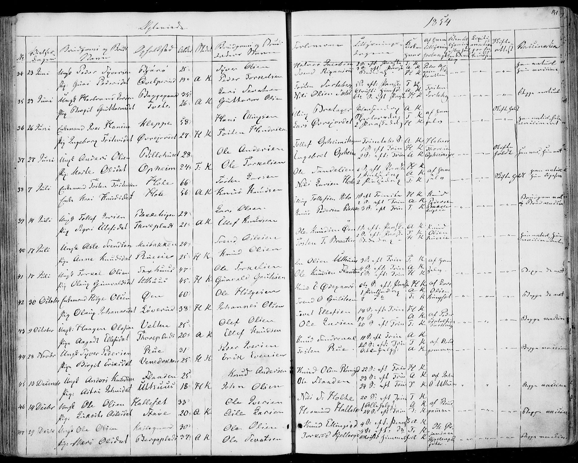 Ål kirkebøker, AV/SAKO-A-249/F/Fa/L0006: Parish register (official) no. I 6, 1849-1864, p. 141