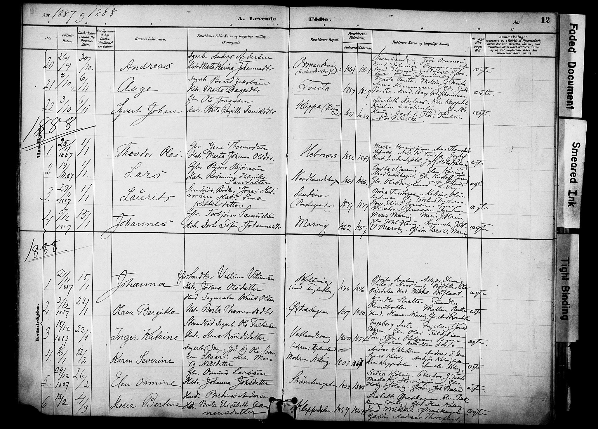 Jelsa sokneprestkontor, SAST/A-101842/01/IV: Parish register (official) no. A 10, 1884-1906, p. 12