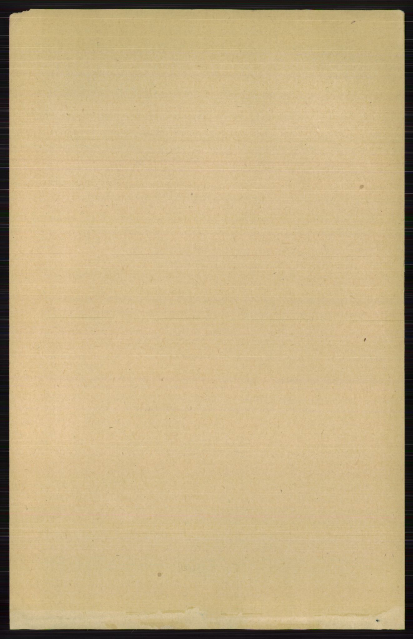RA, 1891 census for 0616 Nes, 1891, p. 989