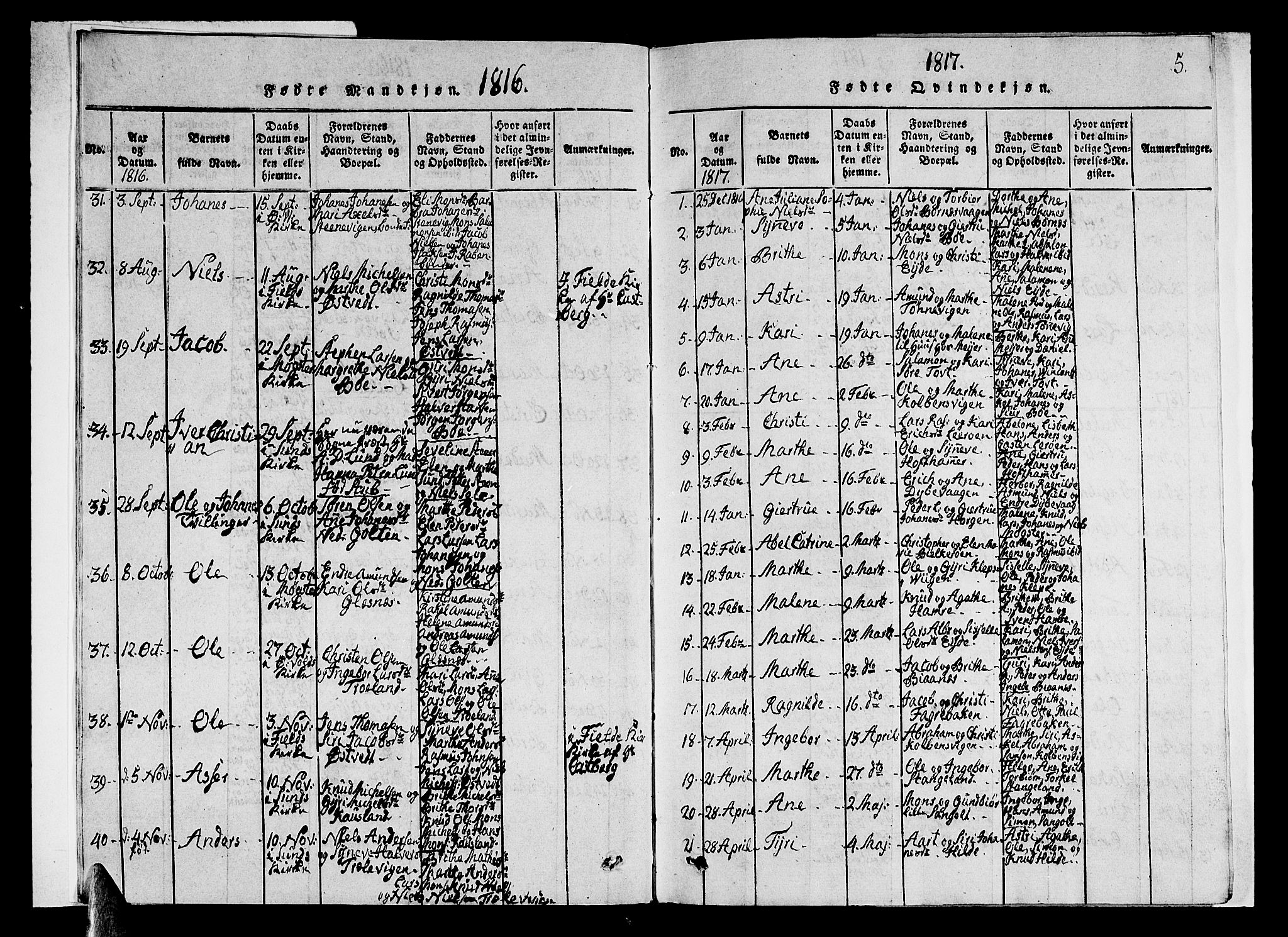 Sund sokneprestembete, SAB/A-99930: Parish register (copy) no. A 1, 1816-1827, p. 5