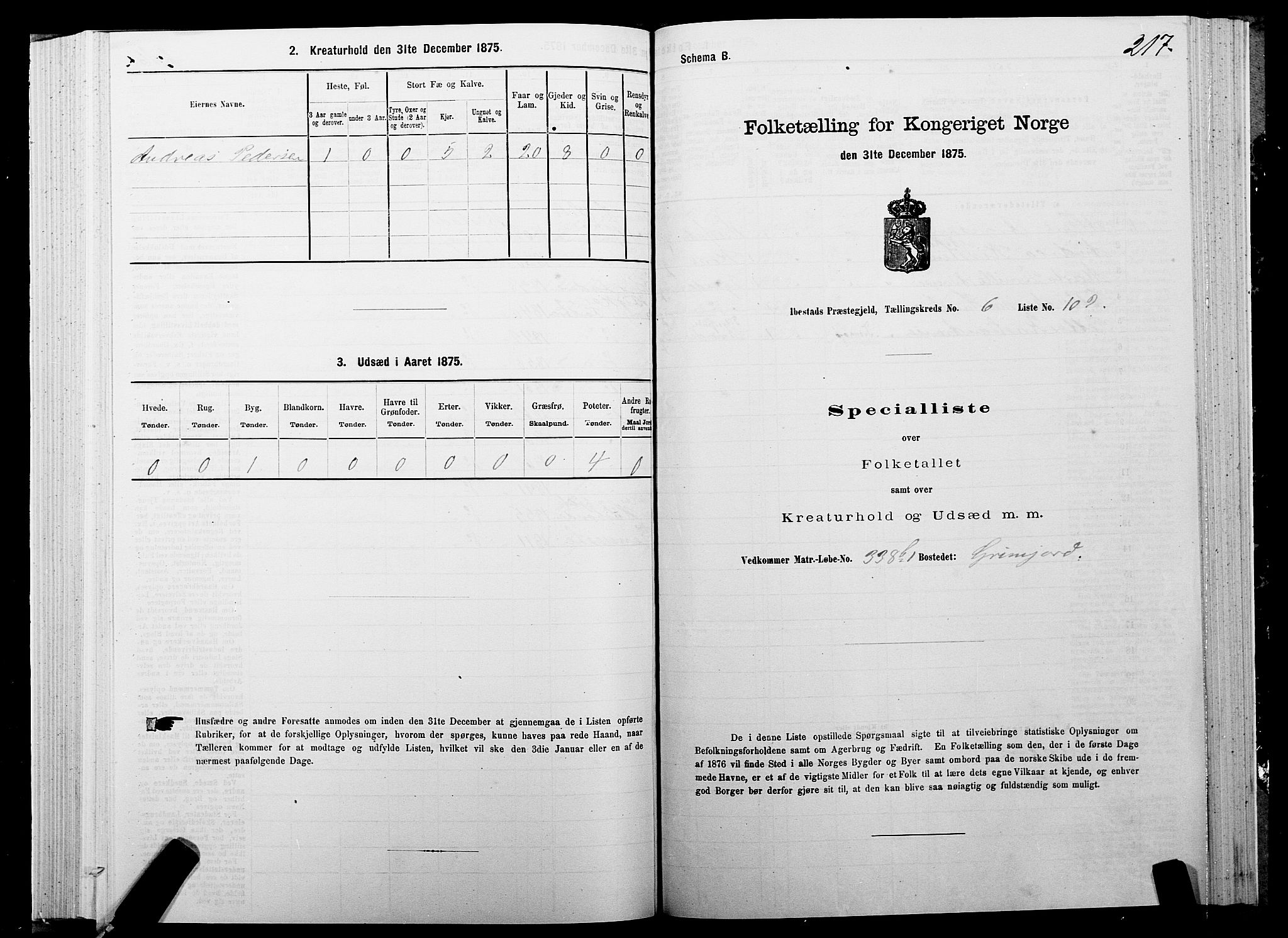 SATØ, 1875 census for 1917P Ibestad, 1875, p. 4217