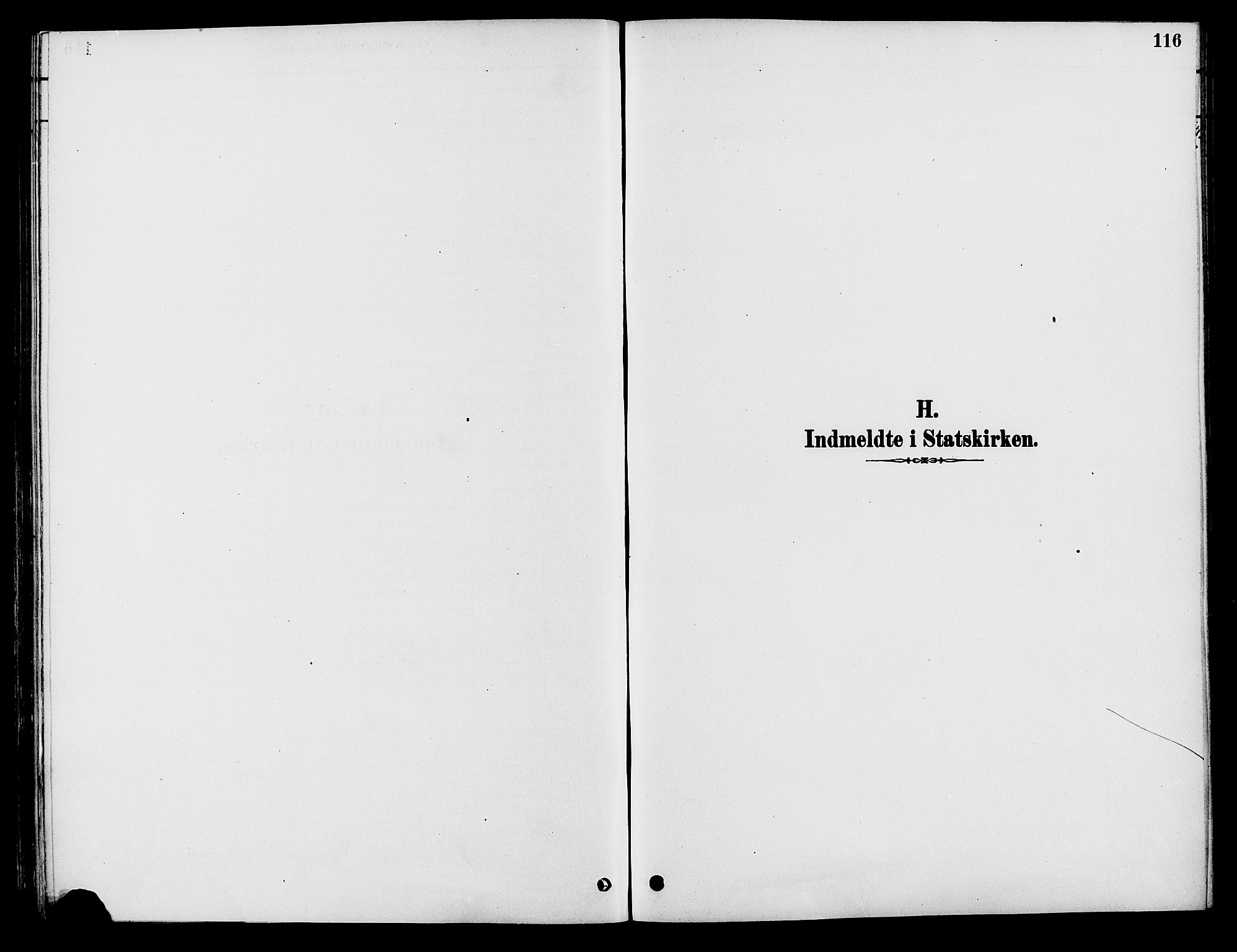 Elverum prestekontor, SAH/PREST-044/H/Ha/Haa/L0012: Parish register (official) no. 12, 1880-1893, p. 116