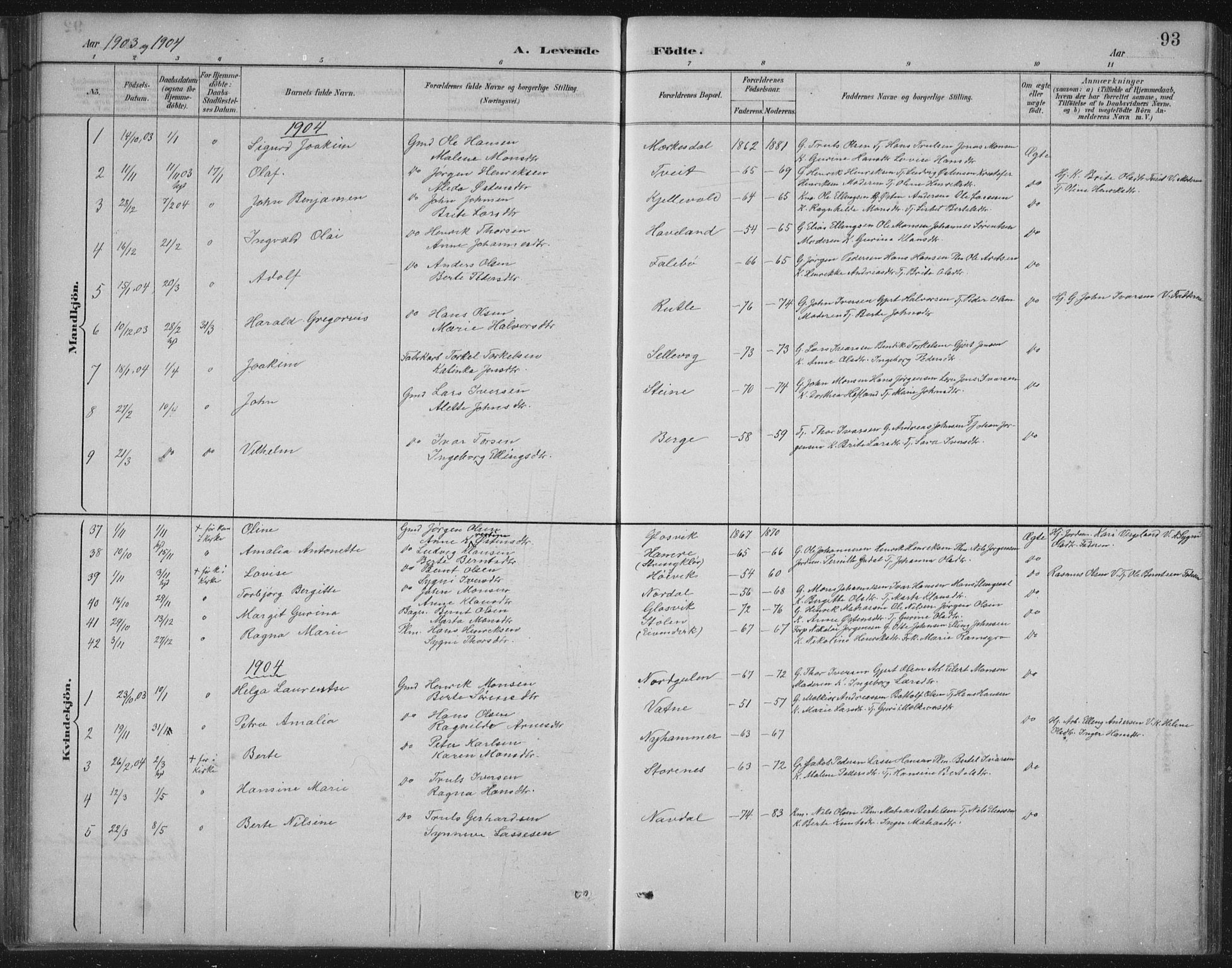 Gulen sokneprestembete, SAB/A-80201/H/Hab/Habb/L0003: Parish register (copy) no. B 3, 1884-1907, p. 93