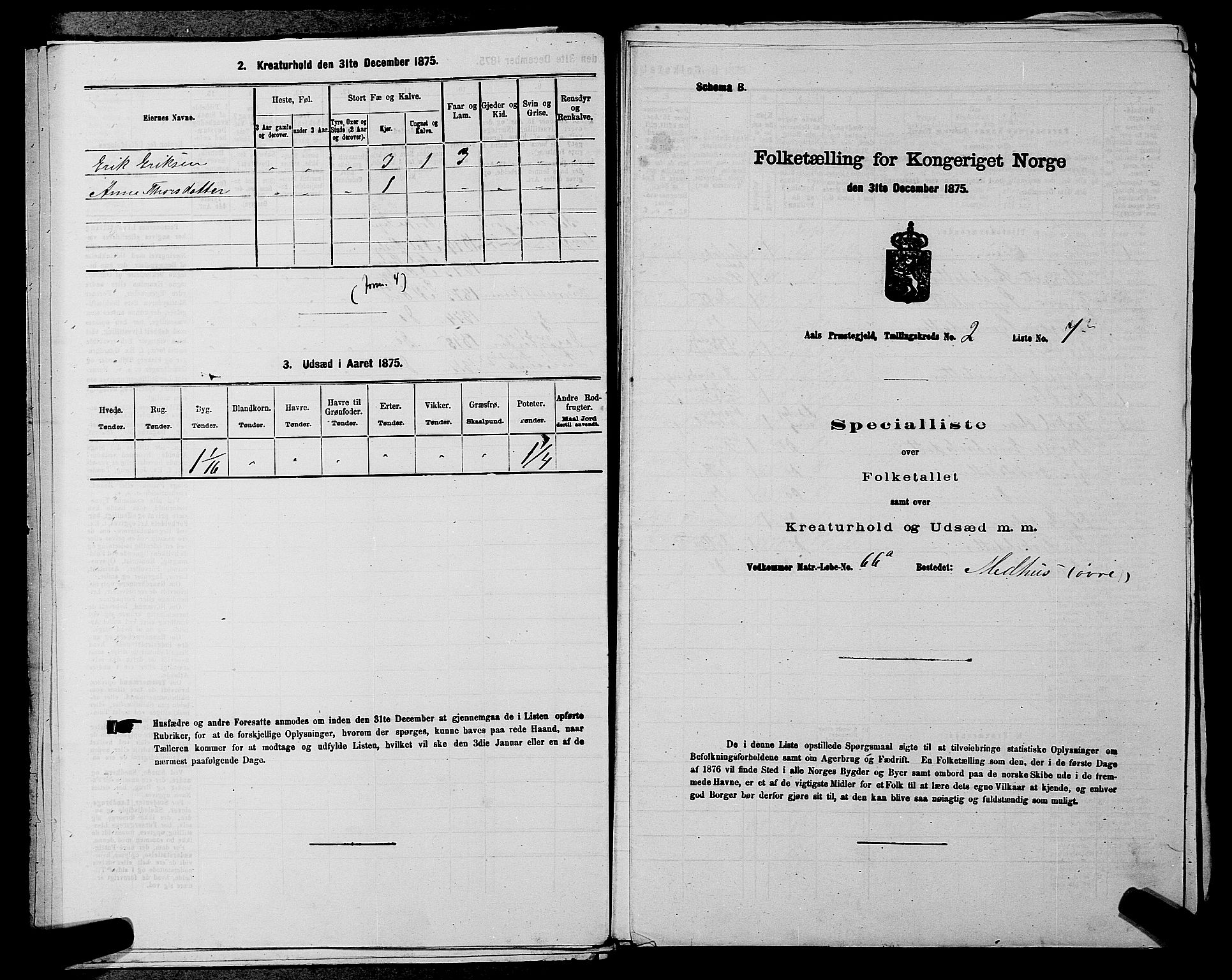 SAKO, 1875 census for 0619P Ål, 1875, p. 242
