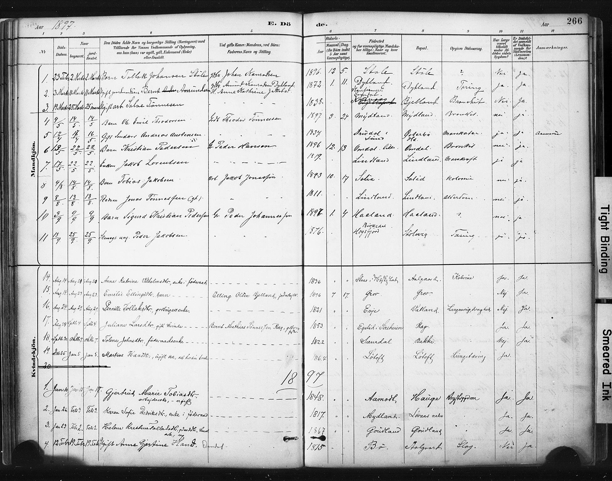 Sokndal sokneprestkontor, SAST/A-101808: Parish register (official) no. A 11.2, 1887-1905, p. 266