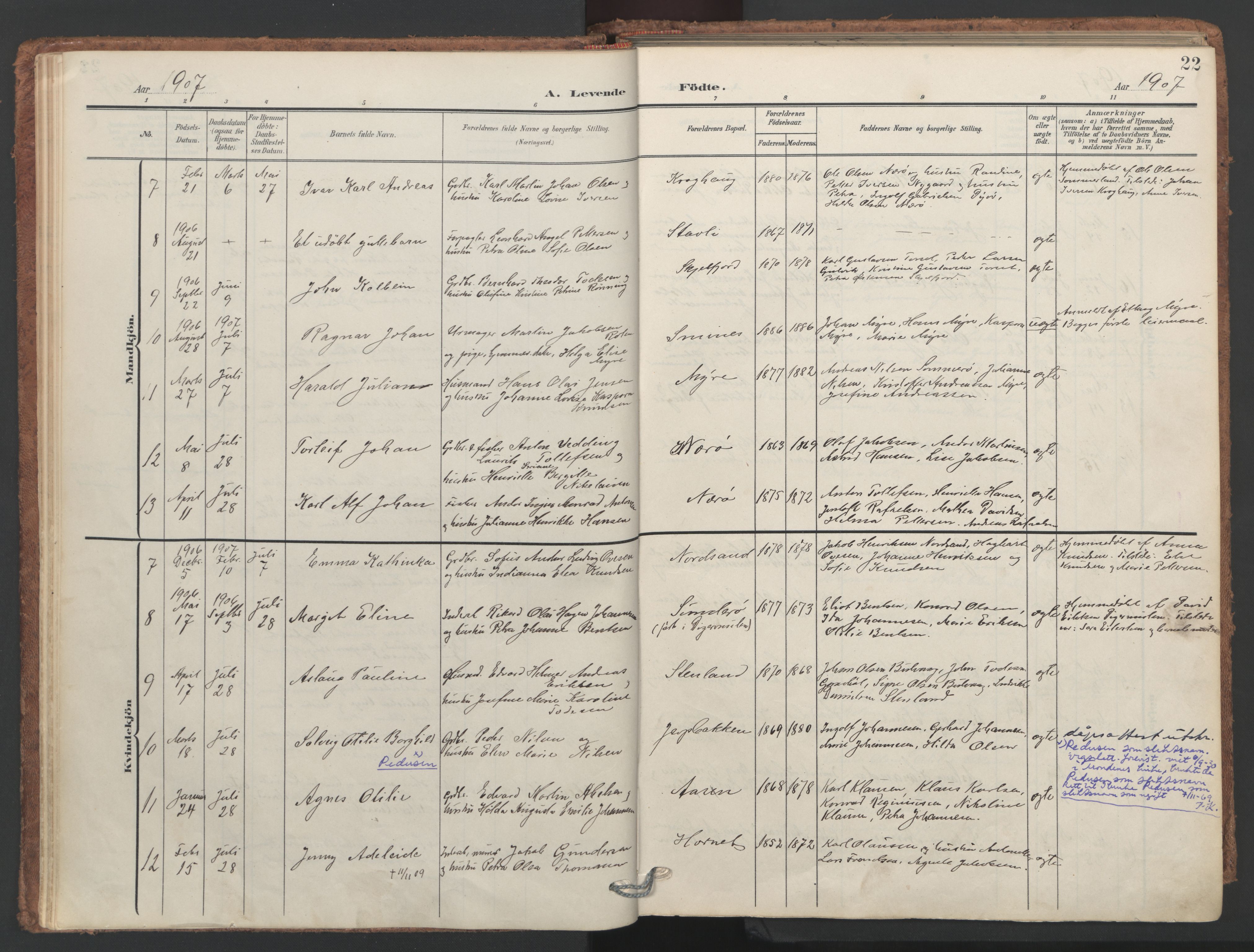 Ministerialprotokoller, klokkerbøker og fødselsregistre - Nordland, SAT/A-1459/893/L1339: Parish register (official) no. 893A11, 1904-1914, p. 22