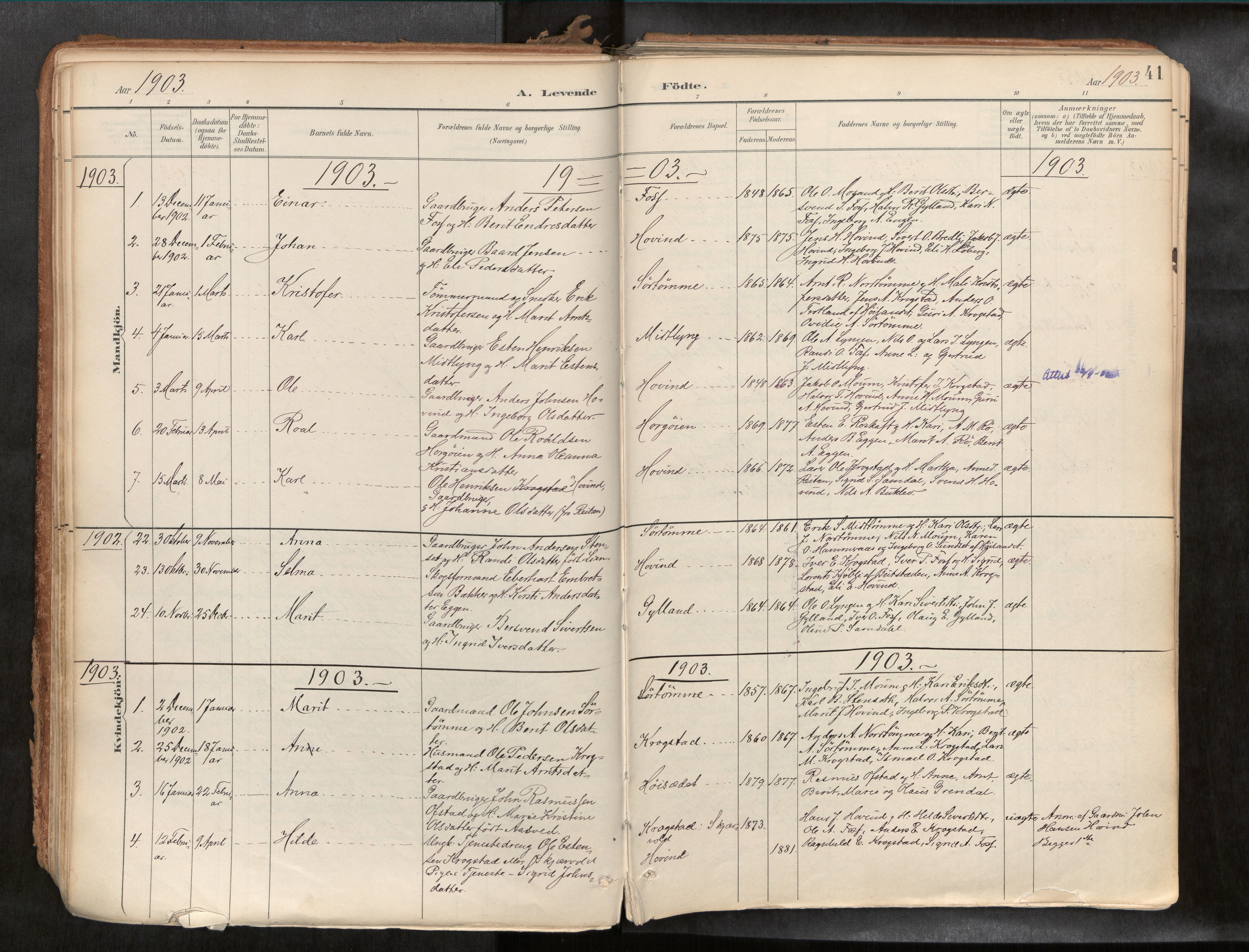Ministerialprotokoller, klokkerbøker og fødselsregistre - Sør-Trøndelag, SAT/A-1456/692/L1105b: Parish register (official) no. 692A06, 1891-1934, p. 41
