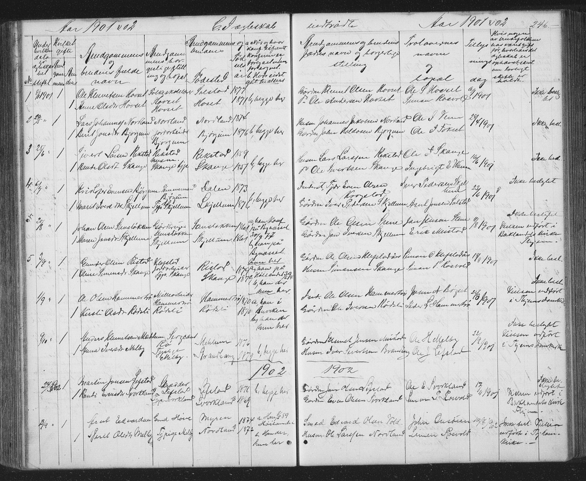 Ministerialprotokoller, klokkerbøker og fødselsregistre - Sør-Trøndelag, SAT/A-1456/667/L0798: Parish register (copy) no. 667C03, 1867-1929, p. 246