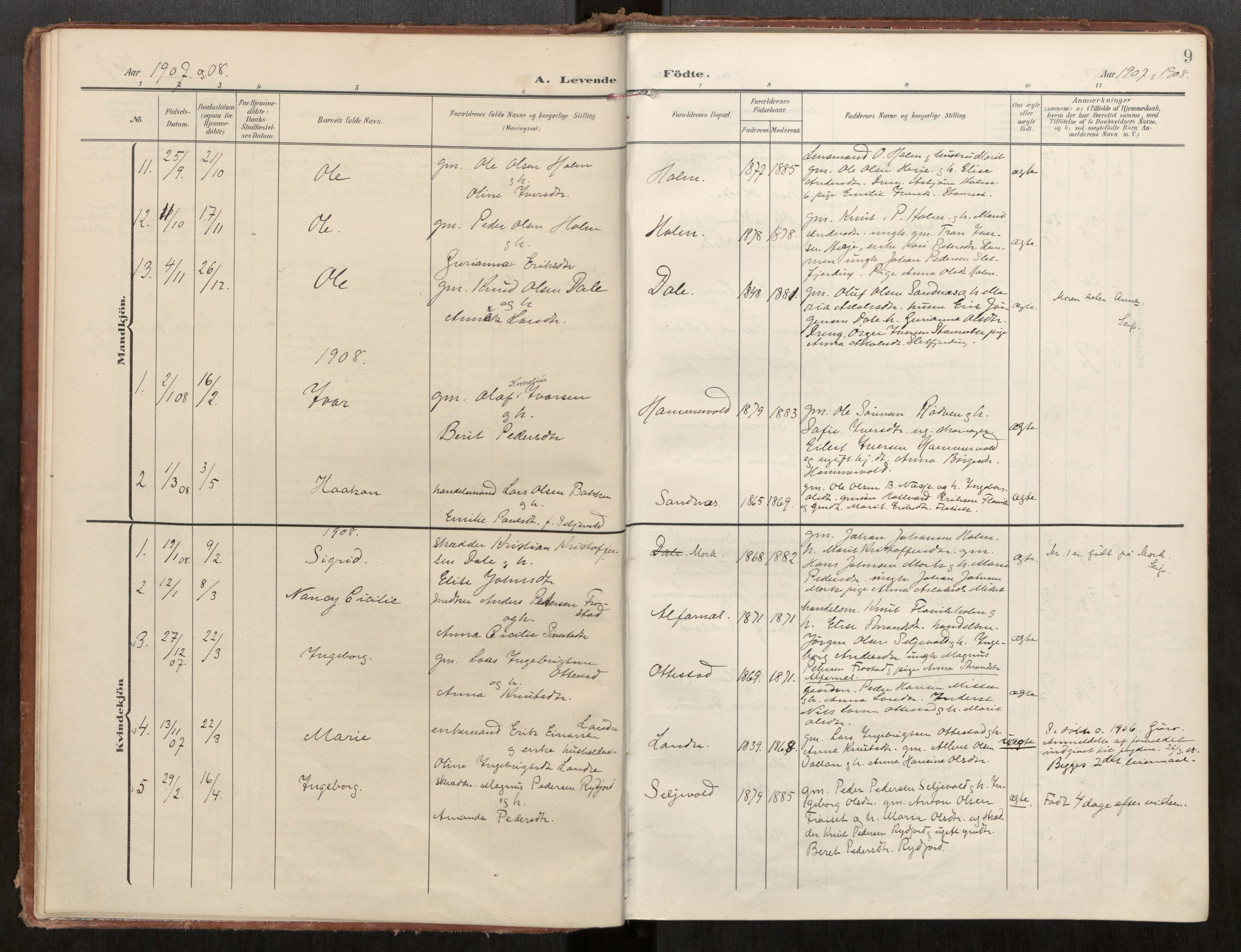 Ministerialprotokoller, klokkerbøker og fødselsregistre - Møre og Romsdal, SAT/A-1454/549/L0618: Parish register (official) no. 549A01, 1906-1927, p. 9