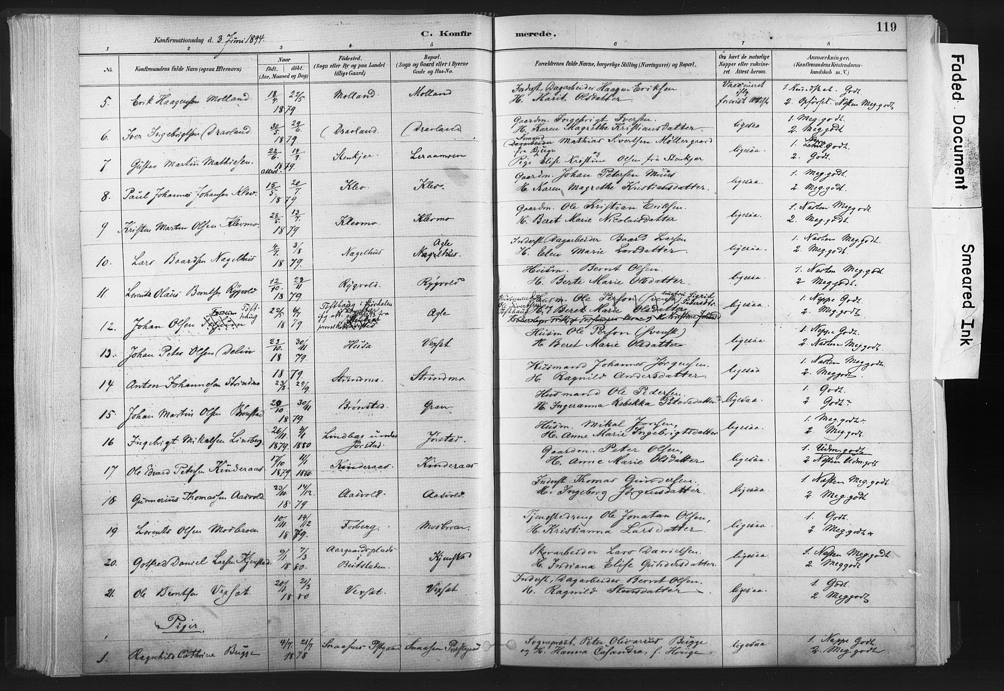 Ministerialprotokoller, klokkerbøker og fødselsregistre - Nord-Trøndelag, SAT/A-1458/749/L0474: Parish register (official) no. 749A08, 1887-1903, p. 119