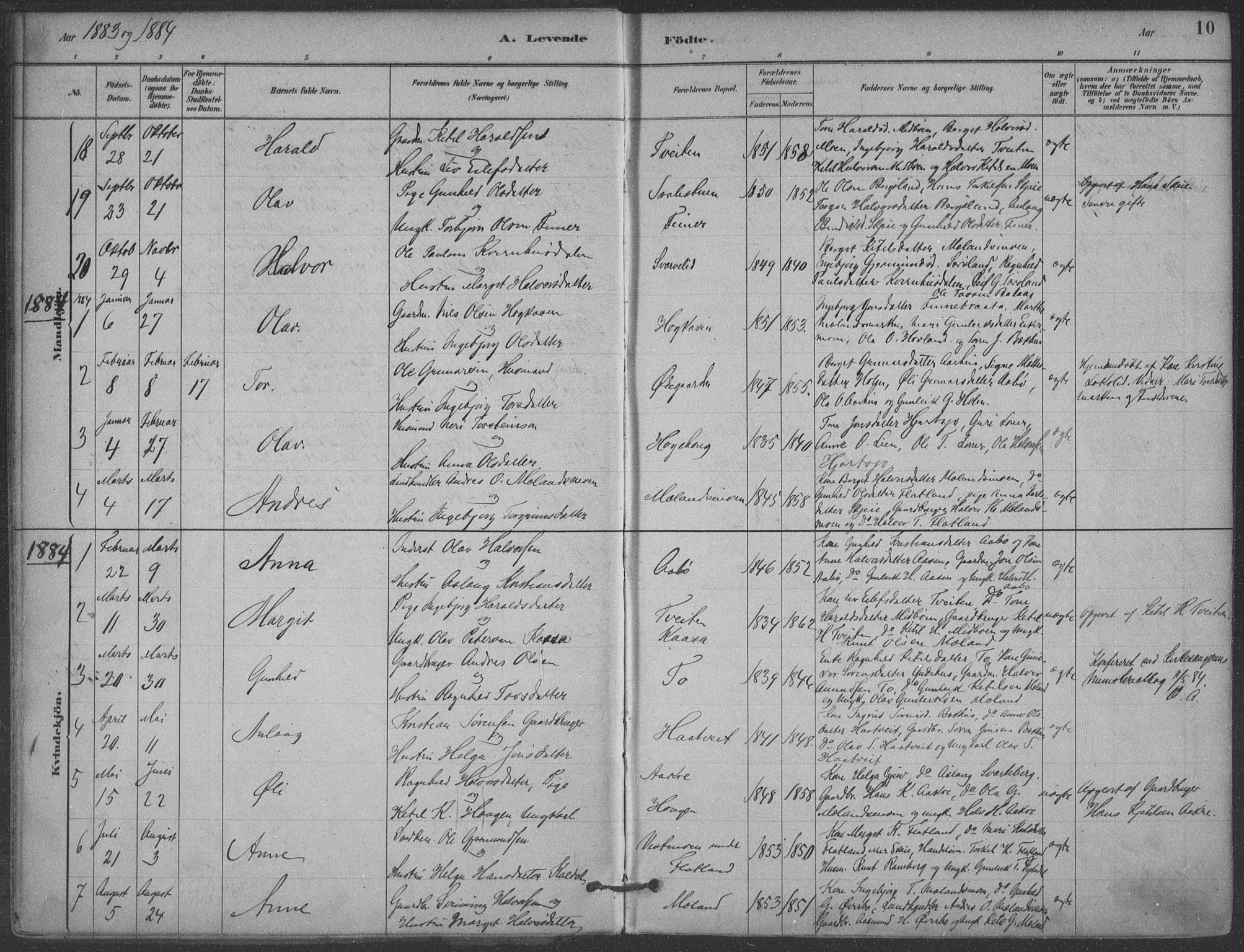 Hjartdal kirkebøker, SAKO/A-270/F/Fa/L0010: Parish register (official) no. I 10, 1880-1929, p. 10