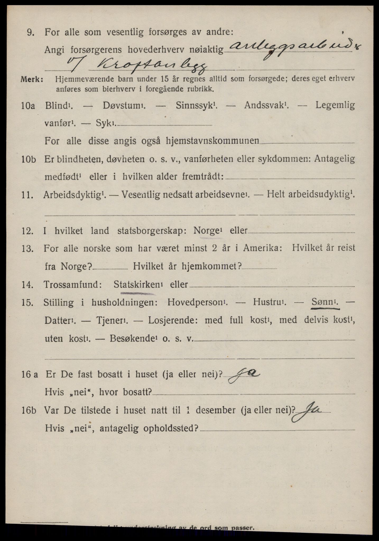 SAT, 1920 census for Nesset, 1920, p. 2911