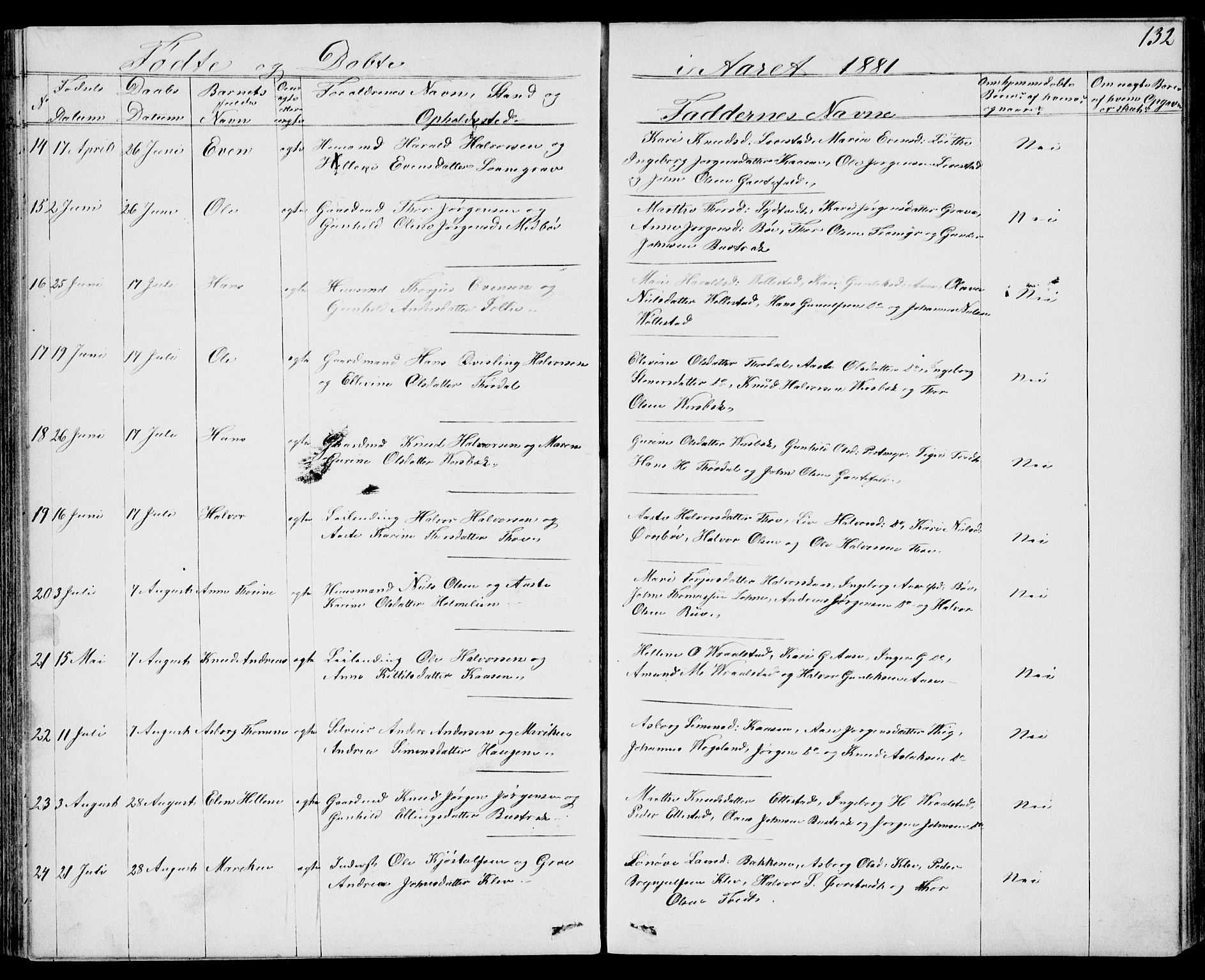 Drangedal kirkebøker, SAKO/A-258/G/Gb/L0001: Parish register (copy) no. II 1, 1856-1894, p. 132
