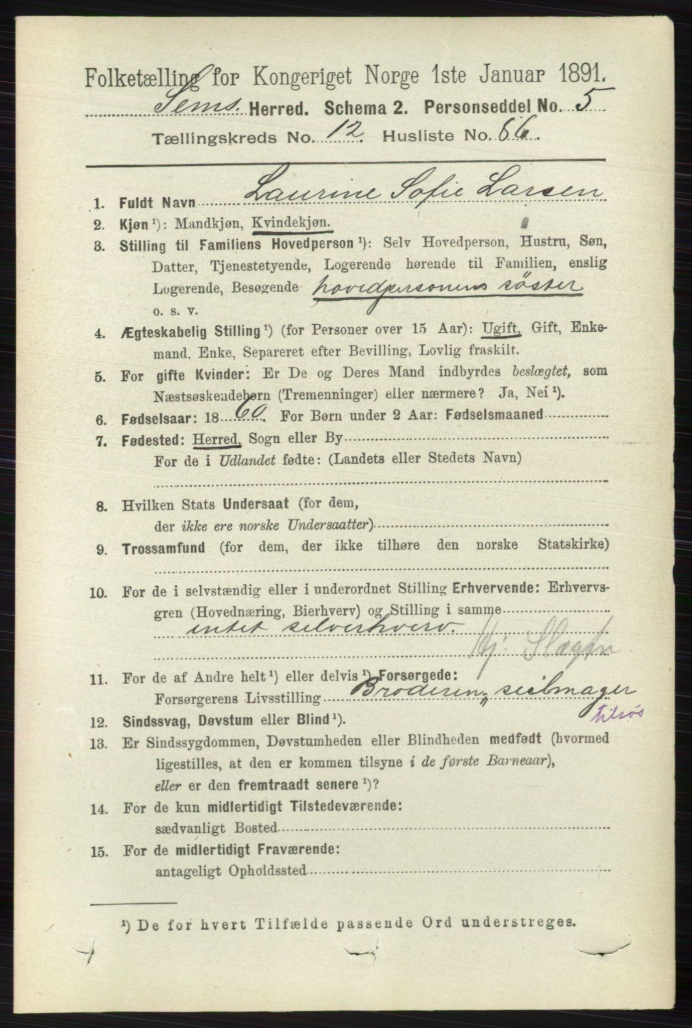 RA, 1891 census for 0721 Sem, 1891, p. 6303