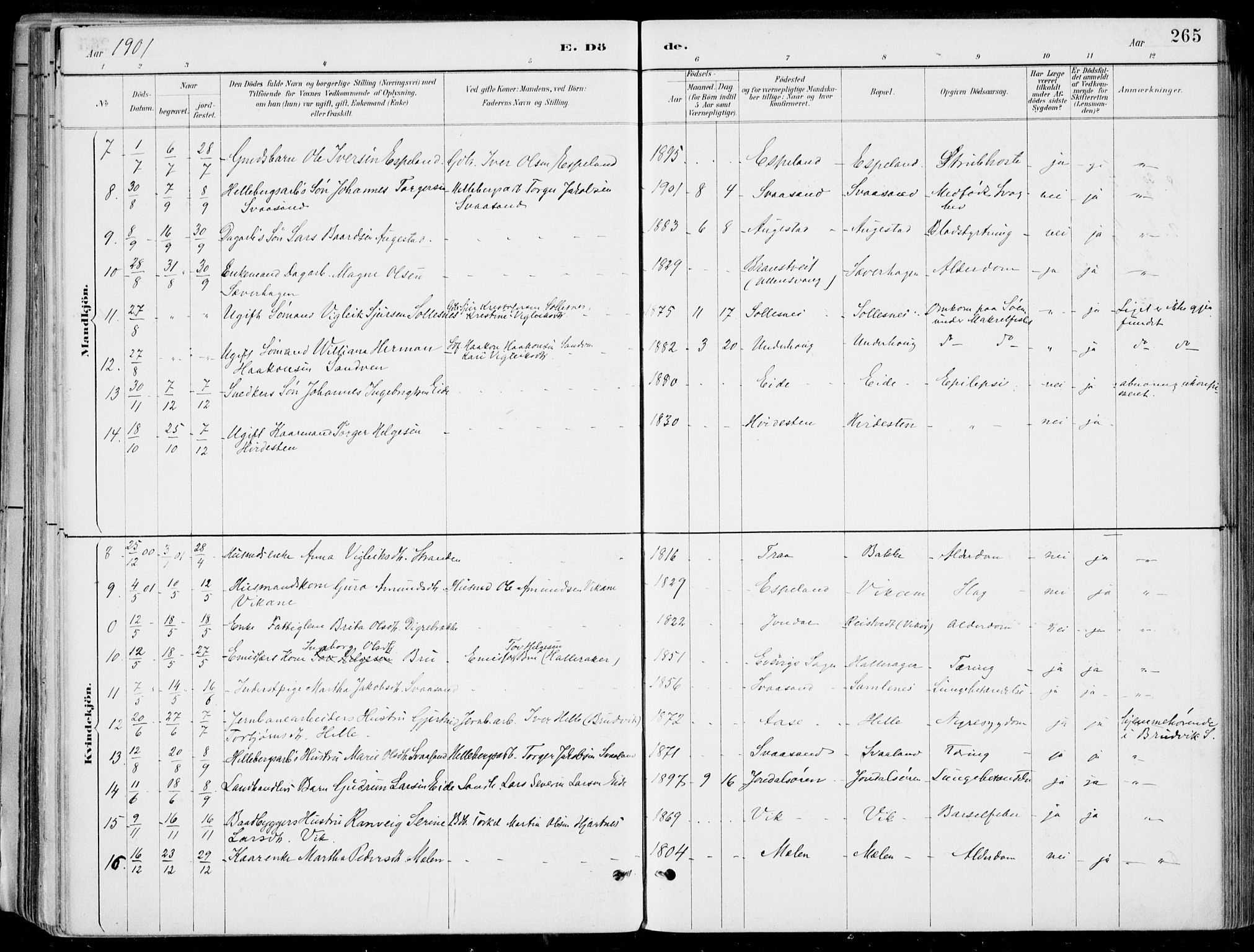 Strandebarm sokneprestembete, SAB/A-78401/H/Haa: Parish register (official) no. E  1, 1886-1908, p. 265