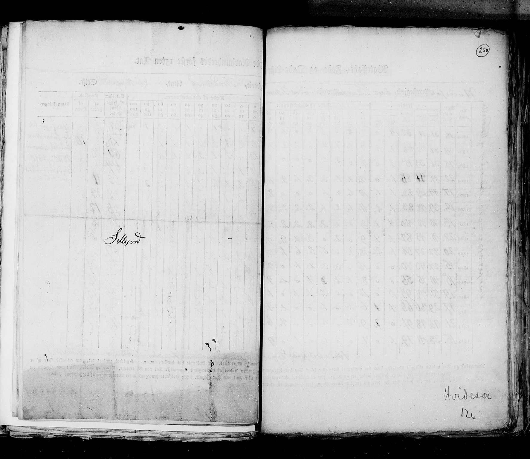 RA, Census 1815, vol. 6: Akershus stift and Kristiansand stift, 1815, p. 250