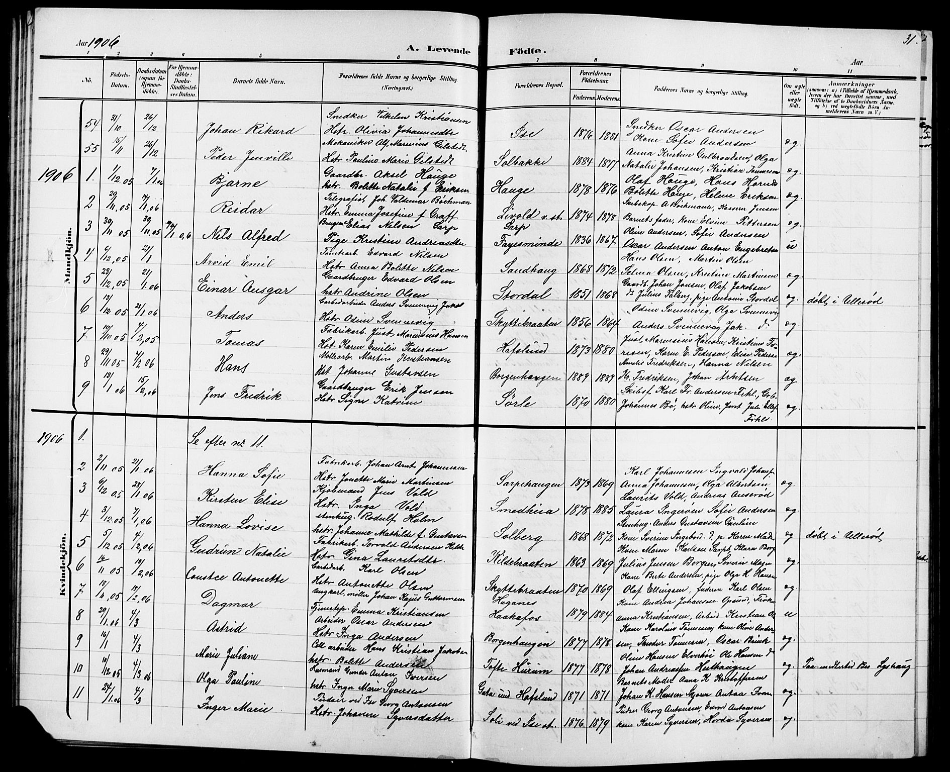 Skjeberg prestekontor Kirkebøker, AV/SAO-A-10923/G/Ga/L0002: Parish register (copy) no. I 2, 1901-1924, p. 31