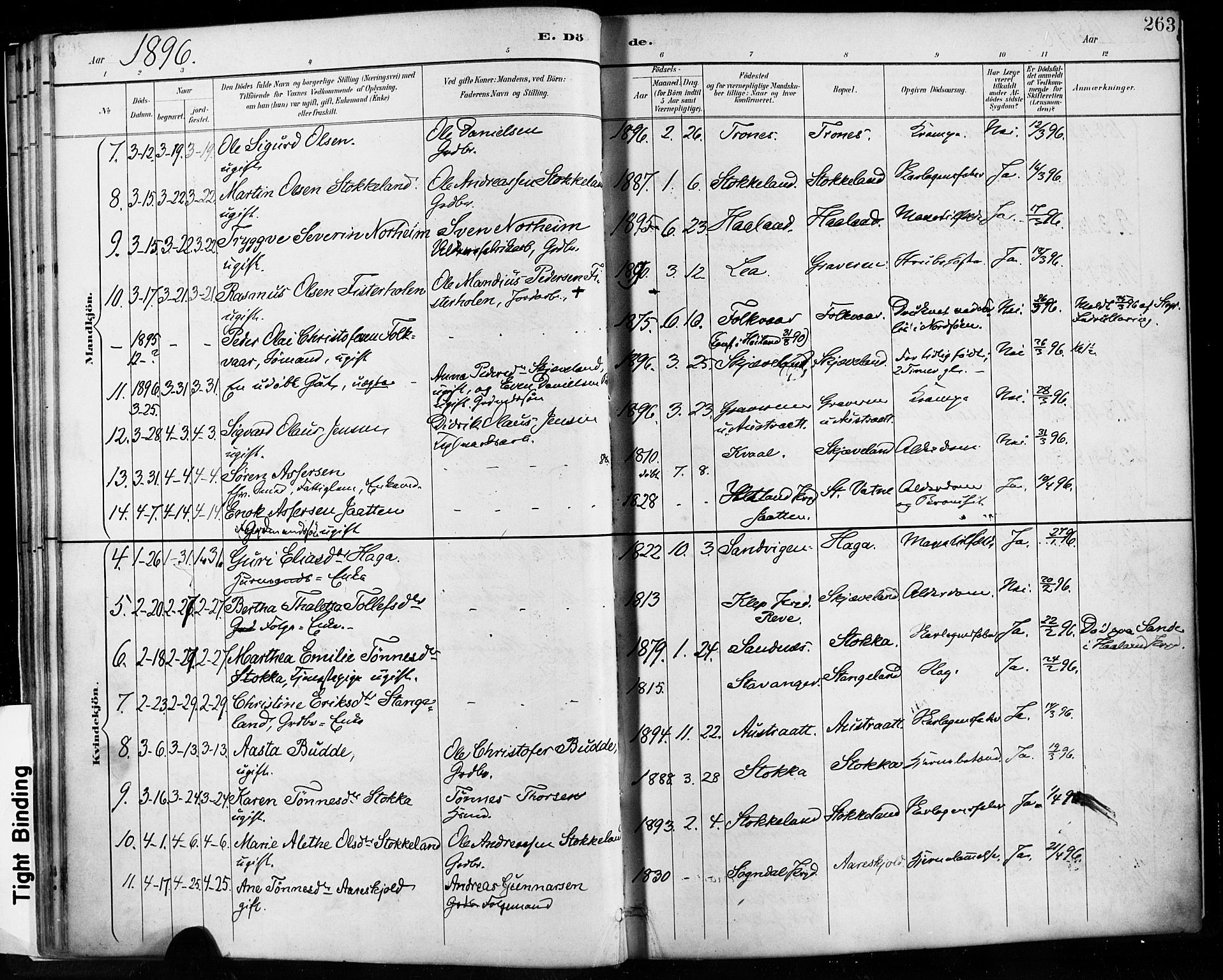 Høyland sokneprestkontor, AV/SAST-A-101799/001/30BA/L0013: Parish register (official) no. A 13.2, 1889-1898, p. 263