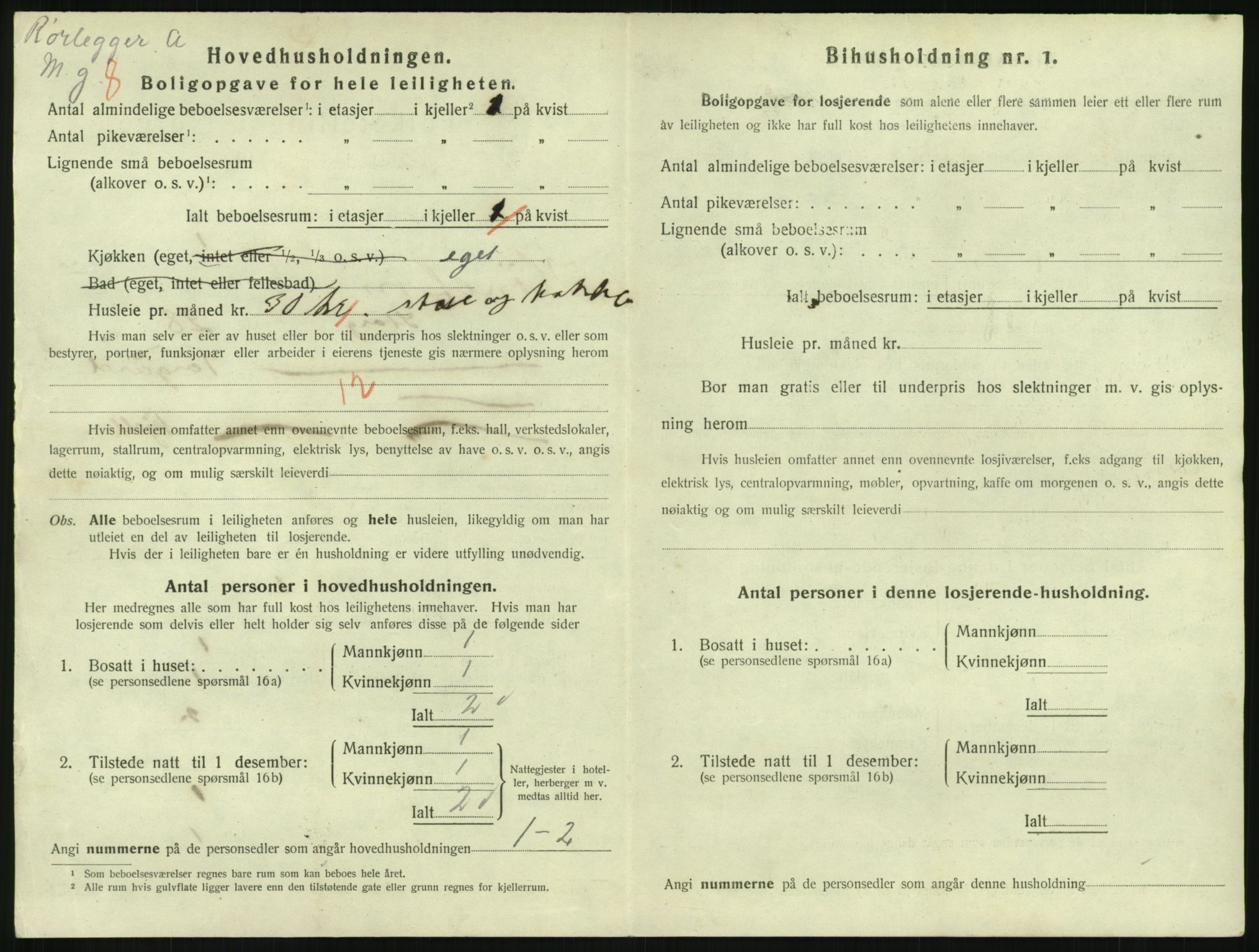 SAKO, 1920 census for Hønefoss, 1920, p. 2115