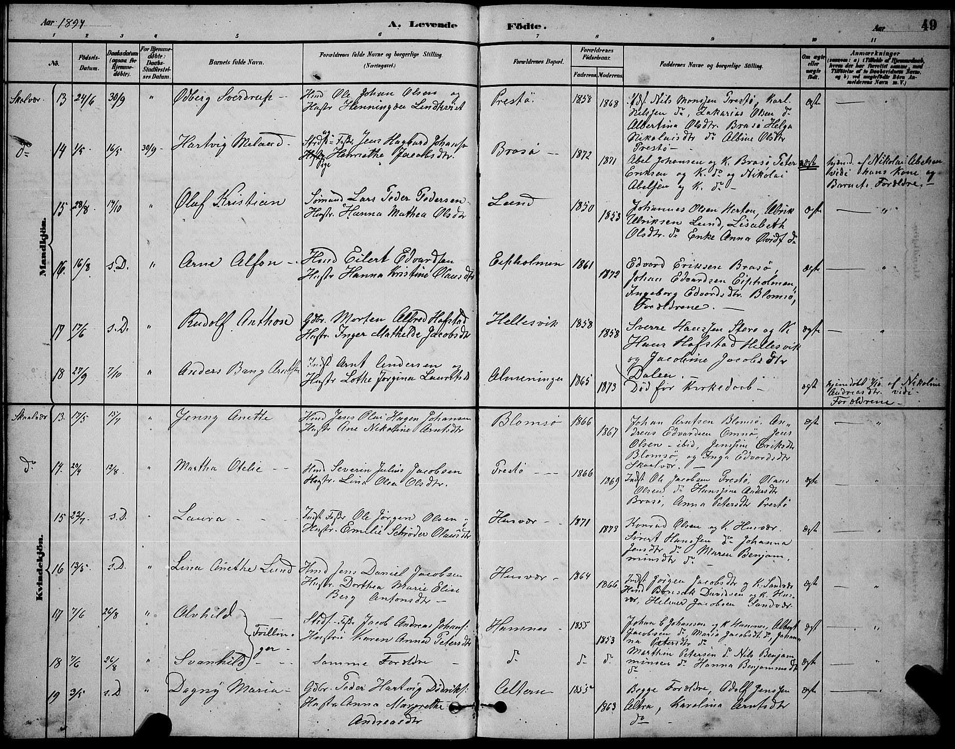 Ministerialprotokoller, klokkerbøker og fødselsregistre - Nordland, AV/SAT-A-1459/830/L0462: Parish register (copy) no. 830C04, 1882-1895, p. 49