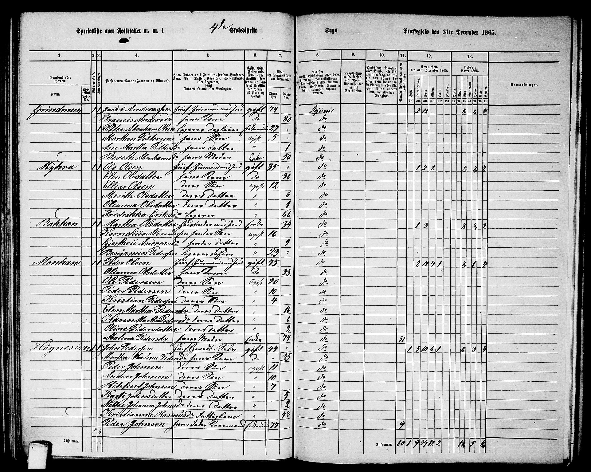 RA, 1865 census for Bjørnør, 1865, p. 83