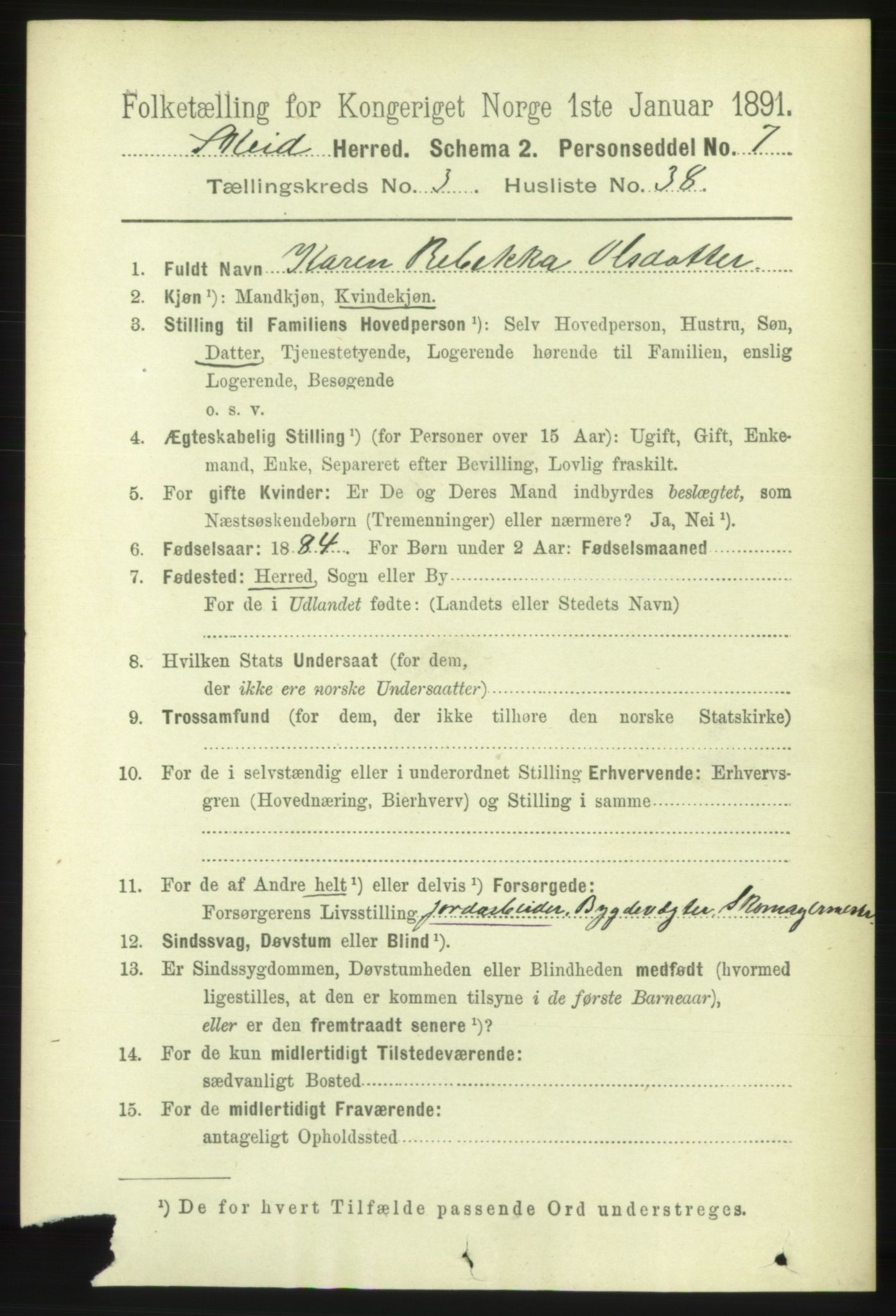 RA, 1891 census for 1732 Skei, 1891, p. 1299