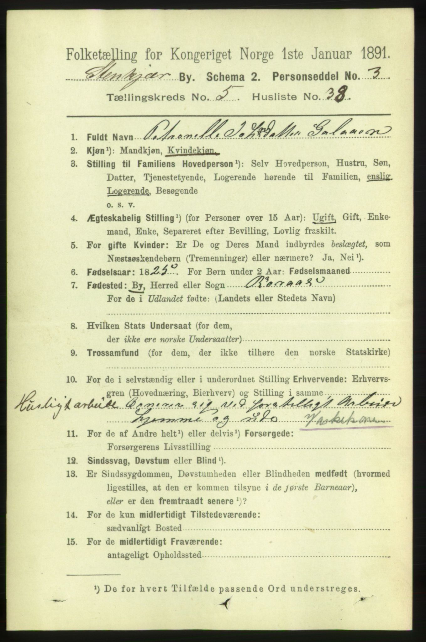 RA, 1891 census for 1702 Steinkjer, 1891, p. 2093