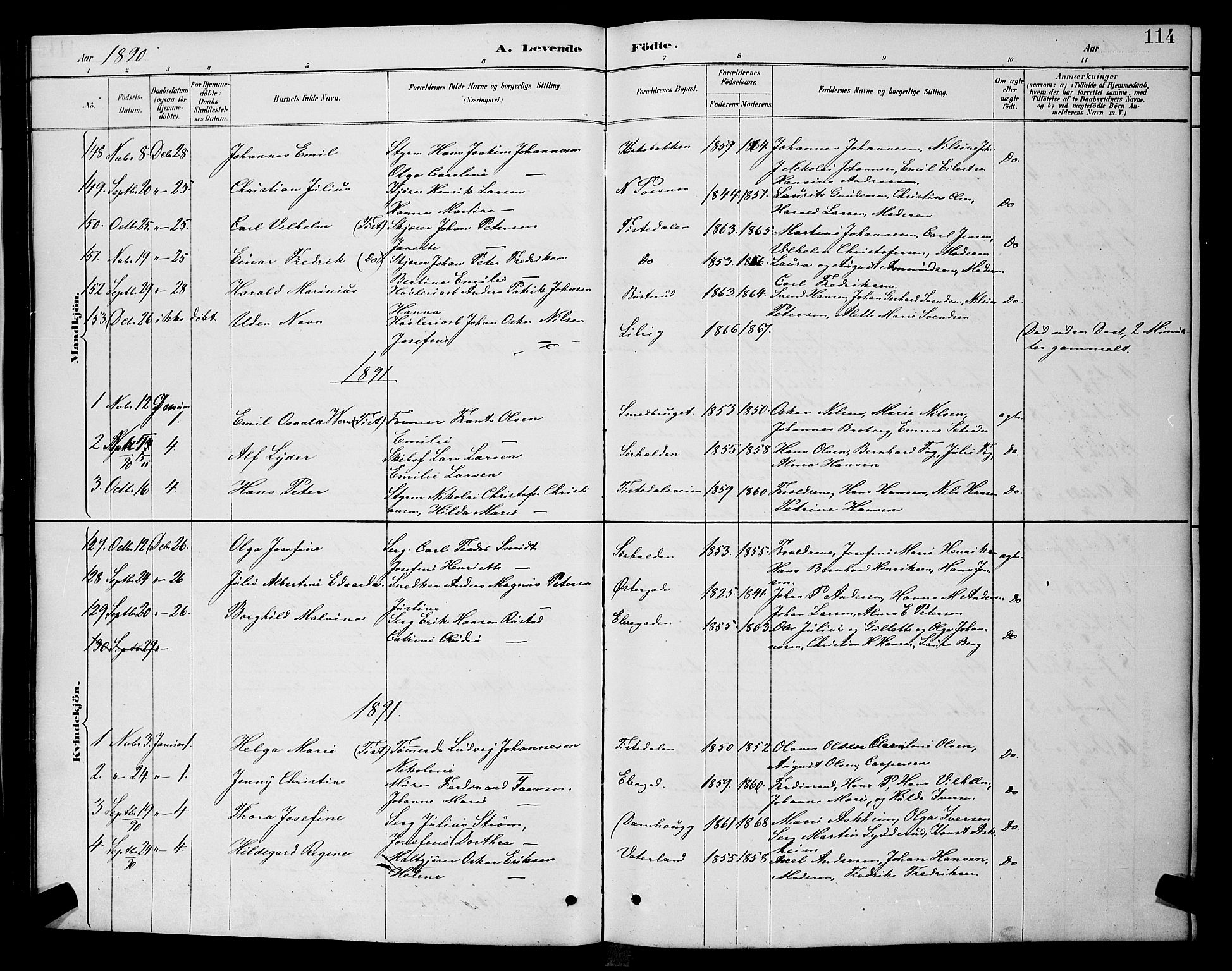 Halden prestekontor Kirkebøker, SAO/A-10909/G/Ga/L0008: Parish register (copy) no. 8, 1885-1899, p. 114