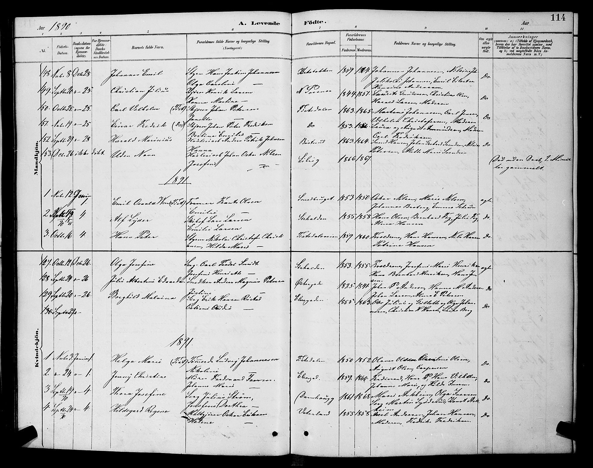 Halden prestekontor Kirkebøker, AV/SAO-A-10909/G/Ga/L0008: Parish register (copy) no. 8, 1885-1899, p. 114