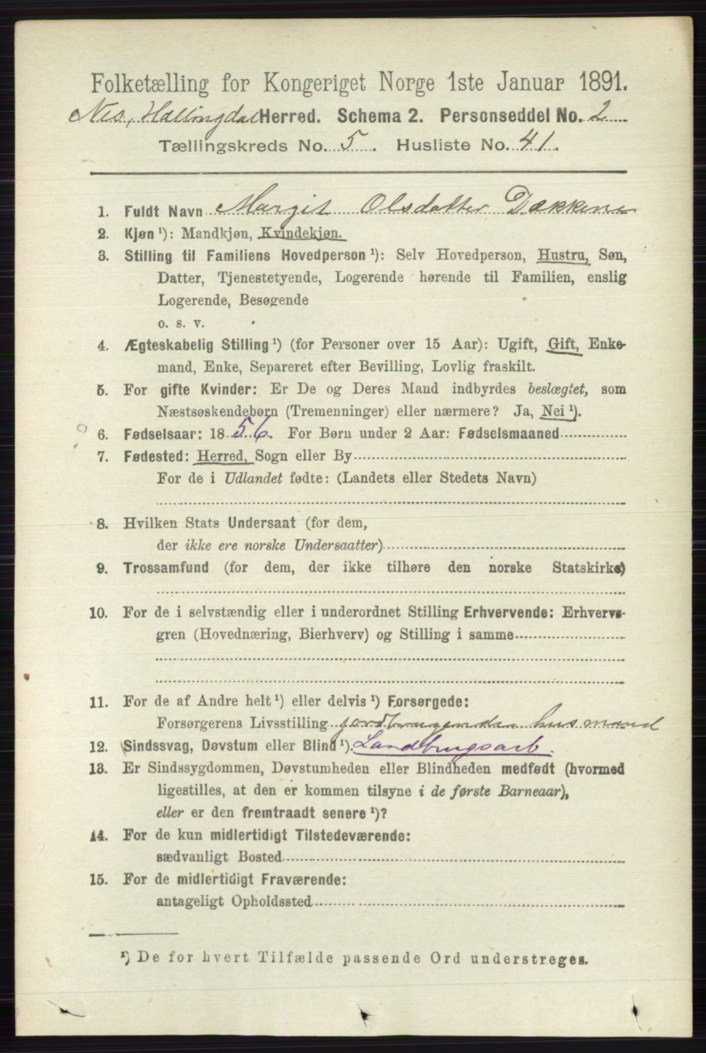 RA, 1891 census for 0616 Nes, 1891, p. 2855