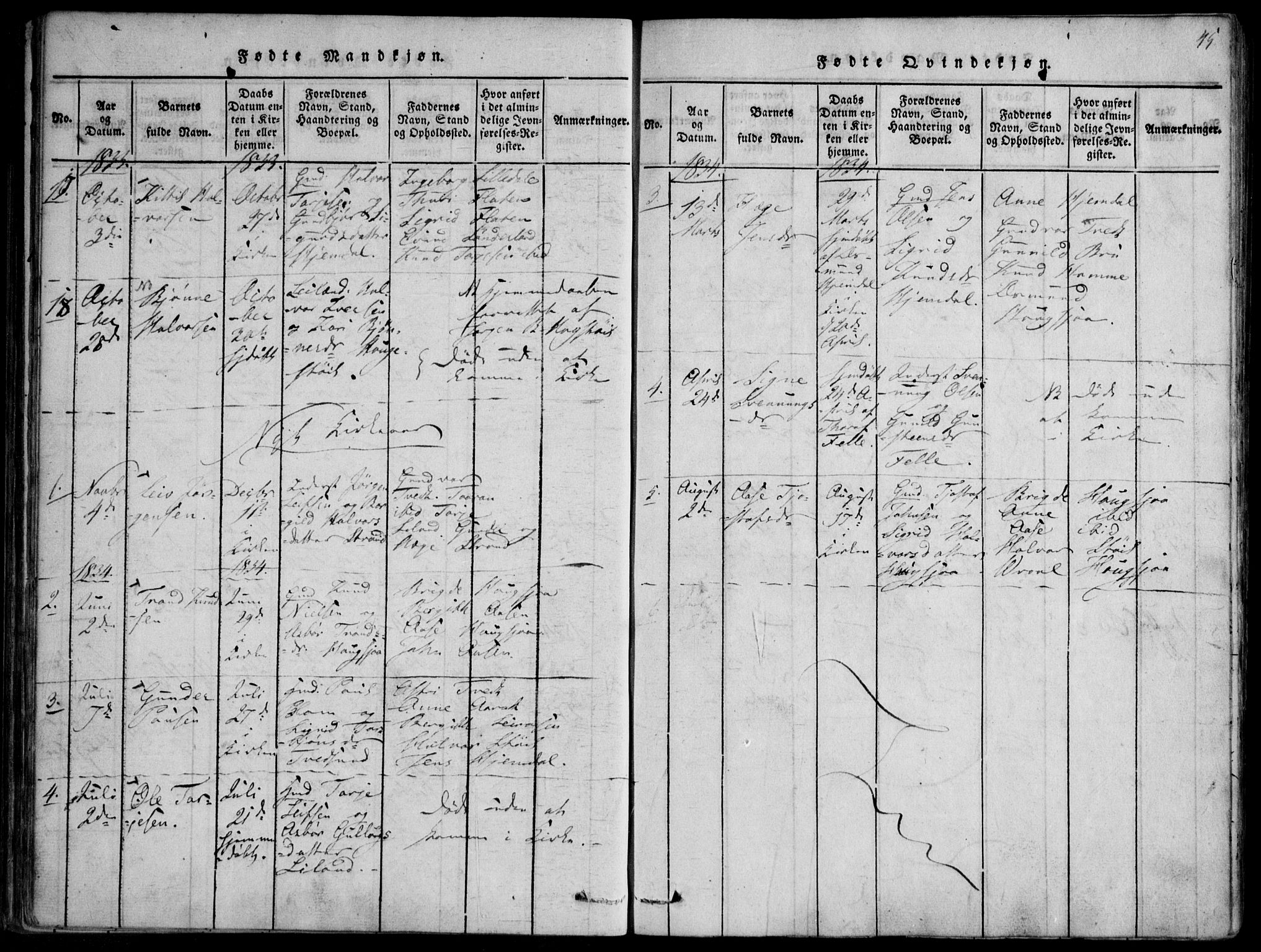 Nissedal kirkebøker, SAKO/A-288/F/Fb/L0001: Parish register (official) no. II 1, 1814-1845, p. 45