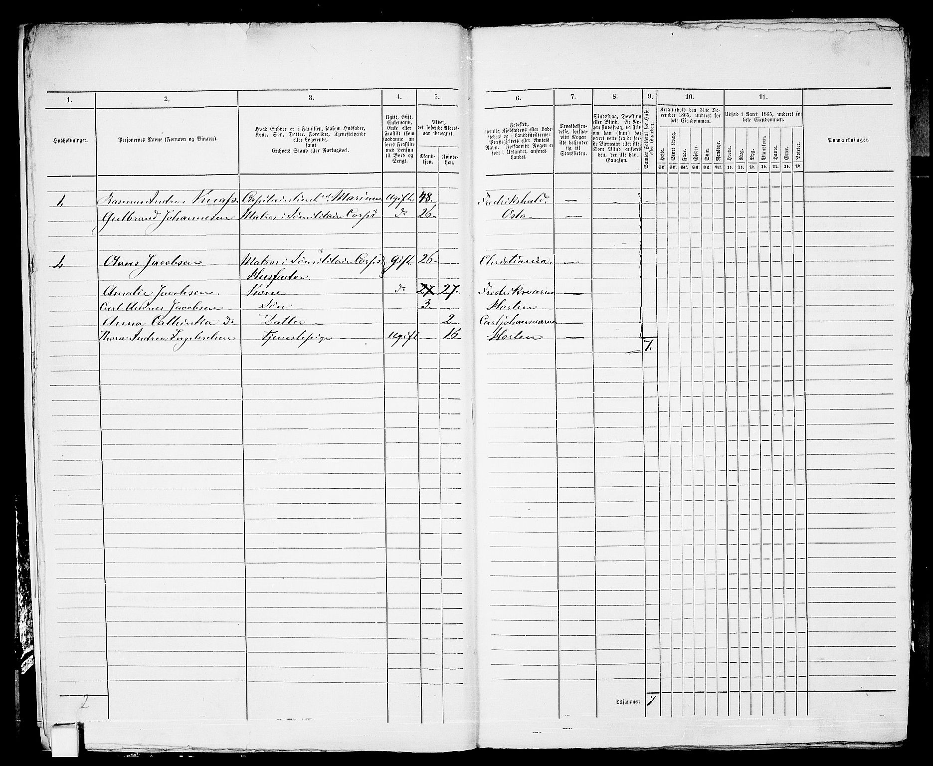 RA, 1865 census for Horten, 1865, p. 14